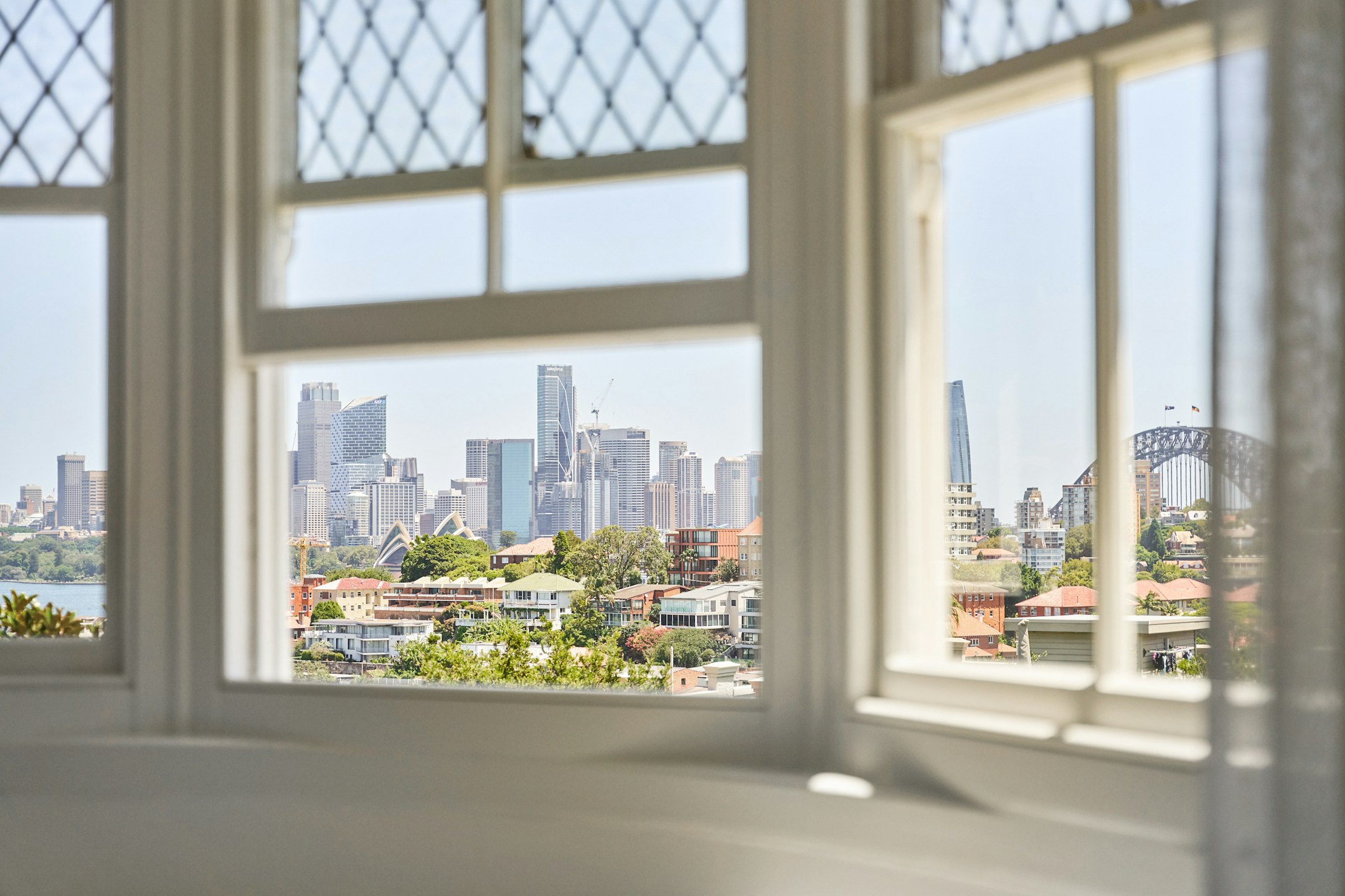 window
