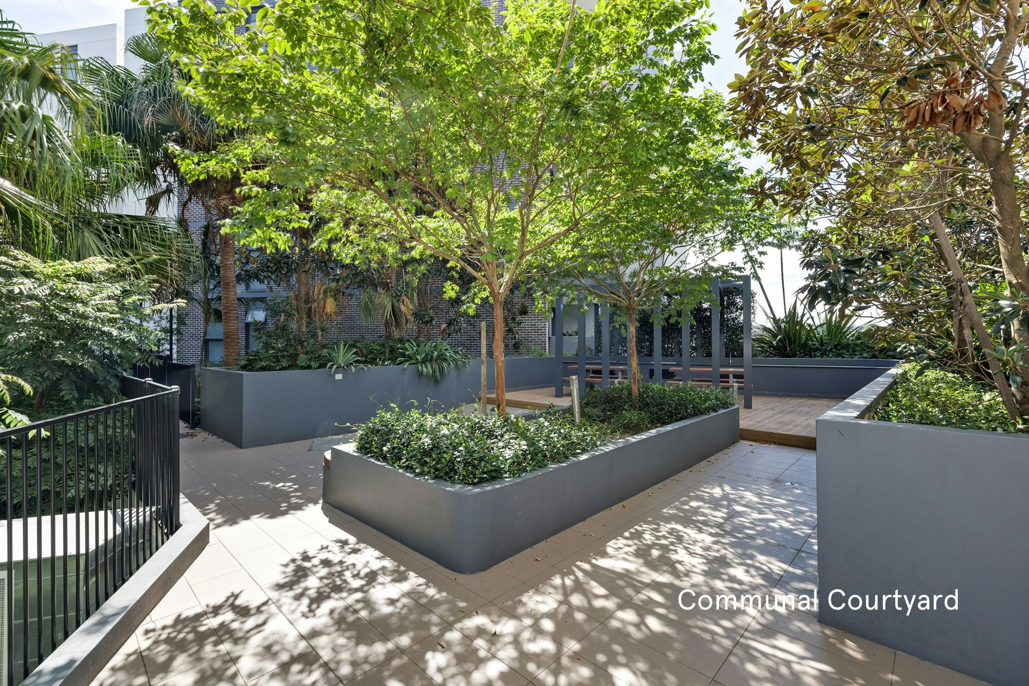 garden