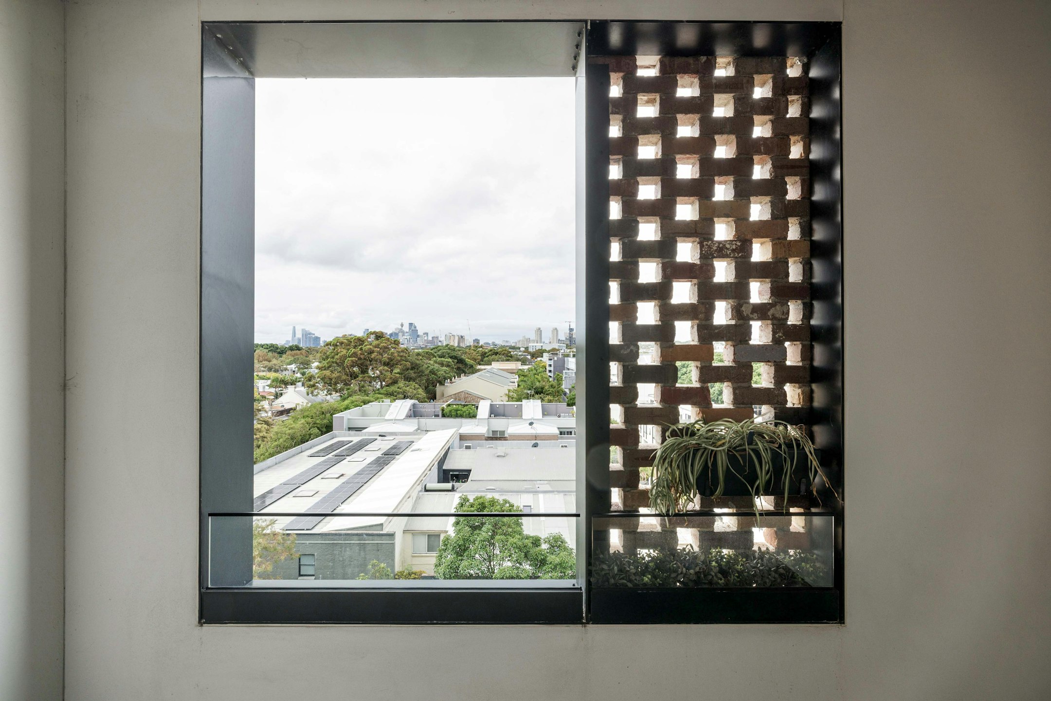 window