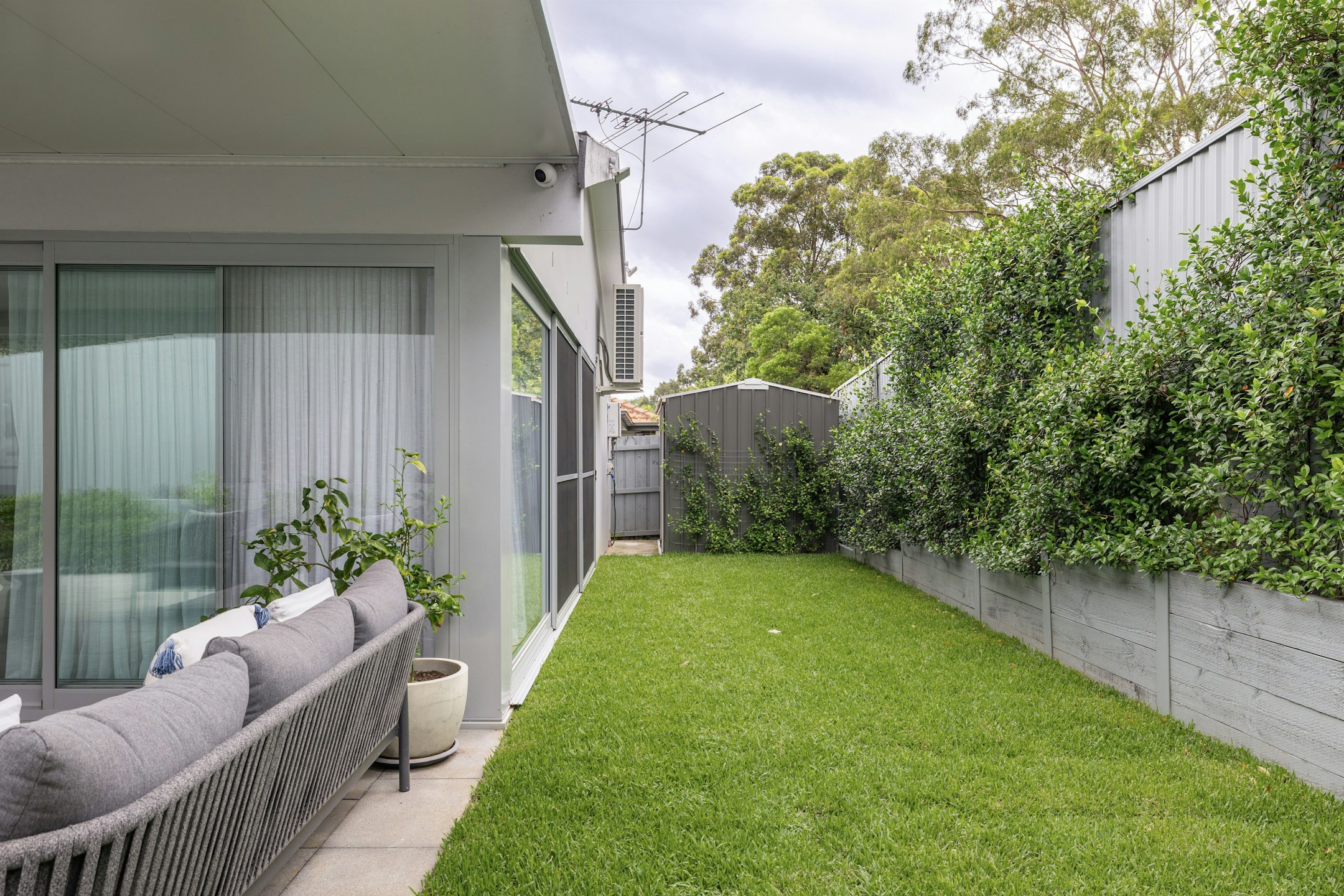backyard