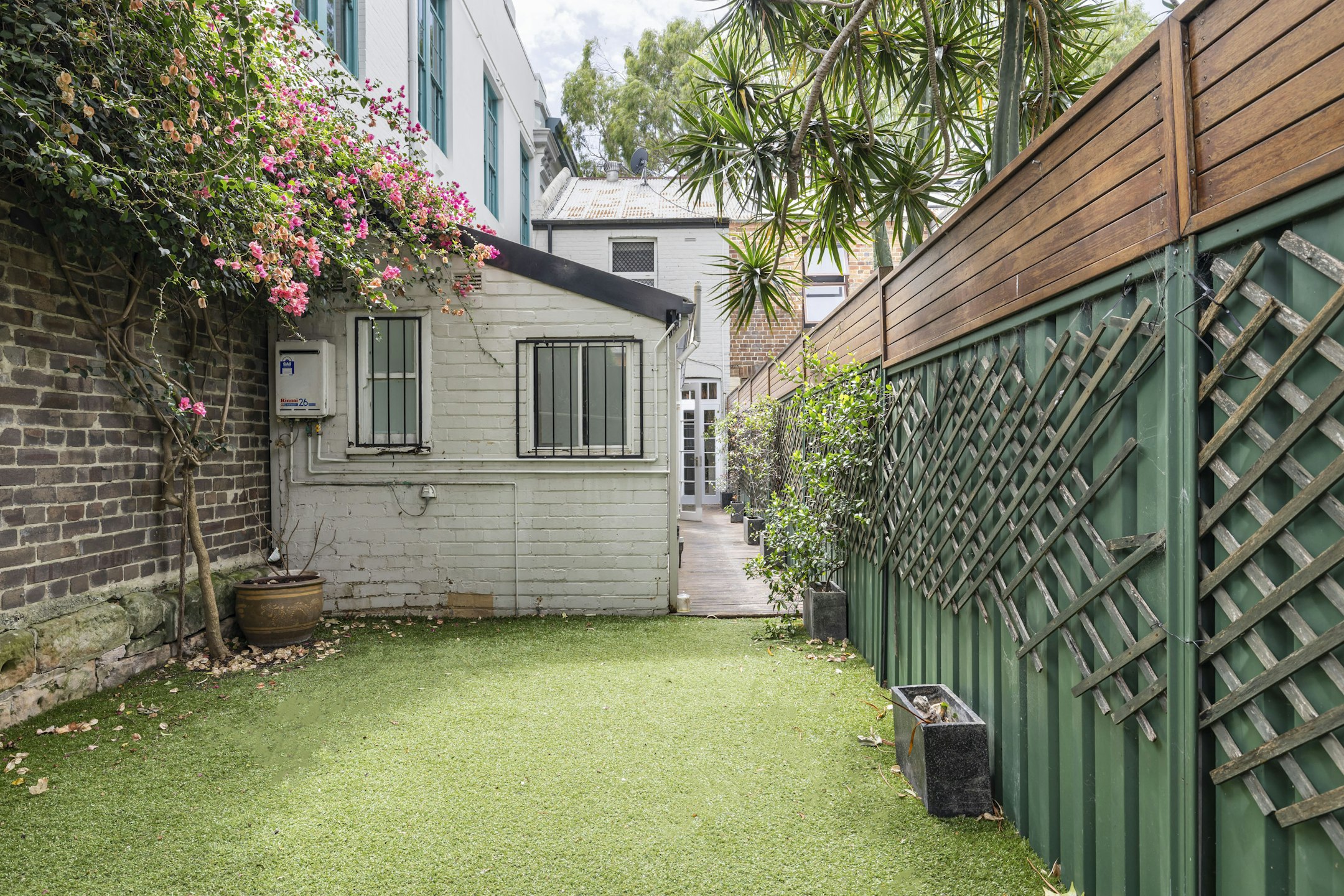 backyard