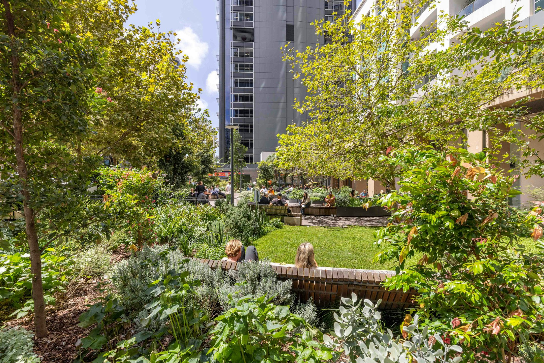 garden