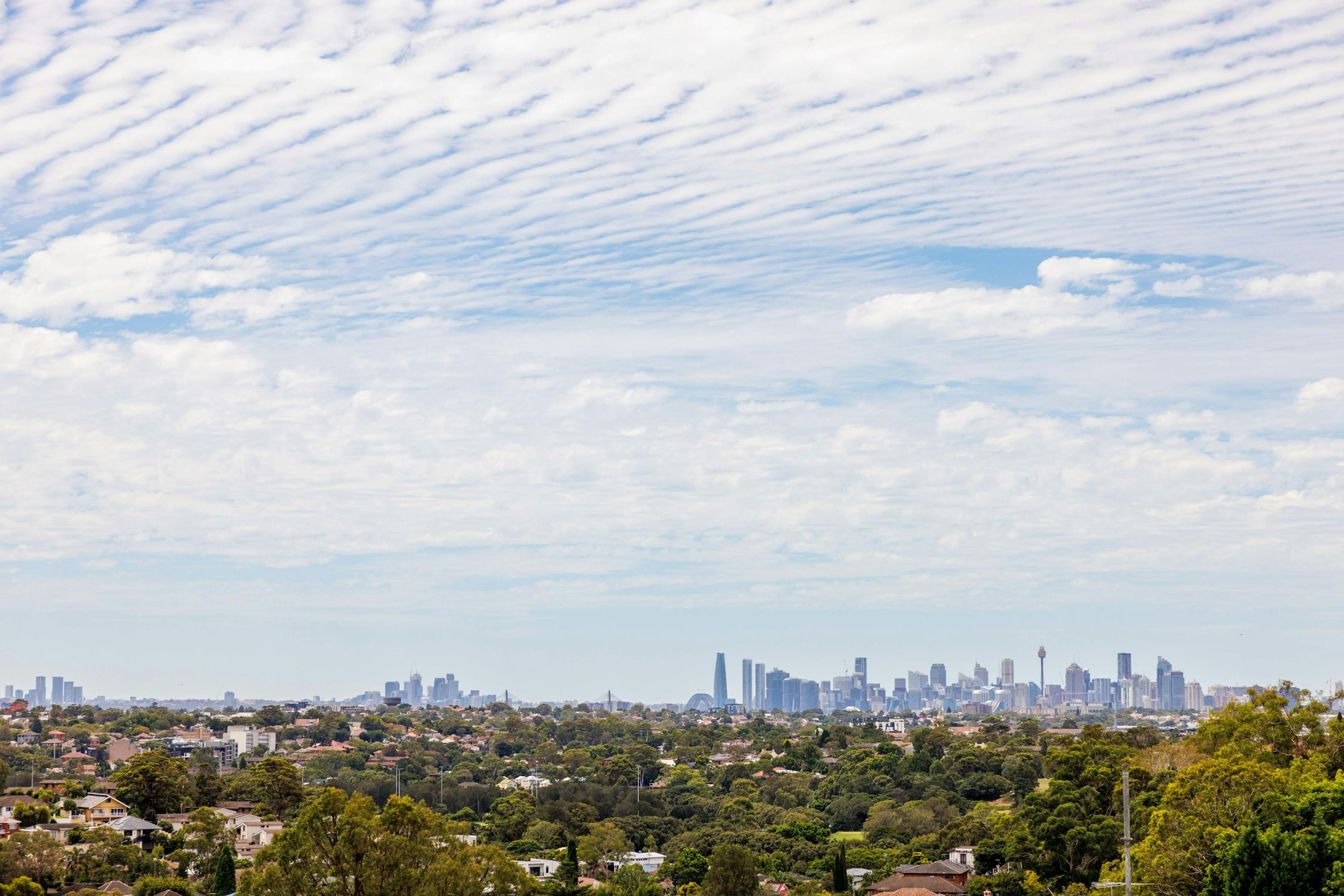 cityscape
