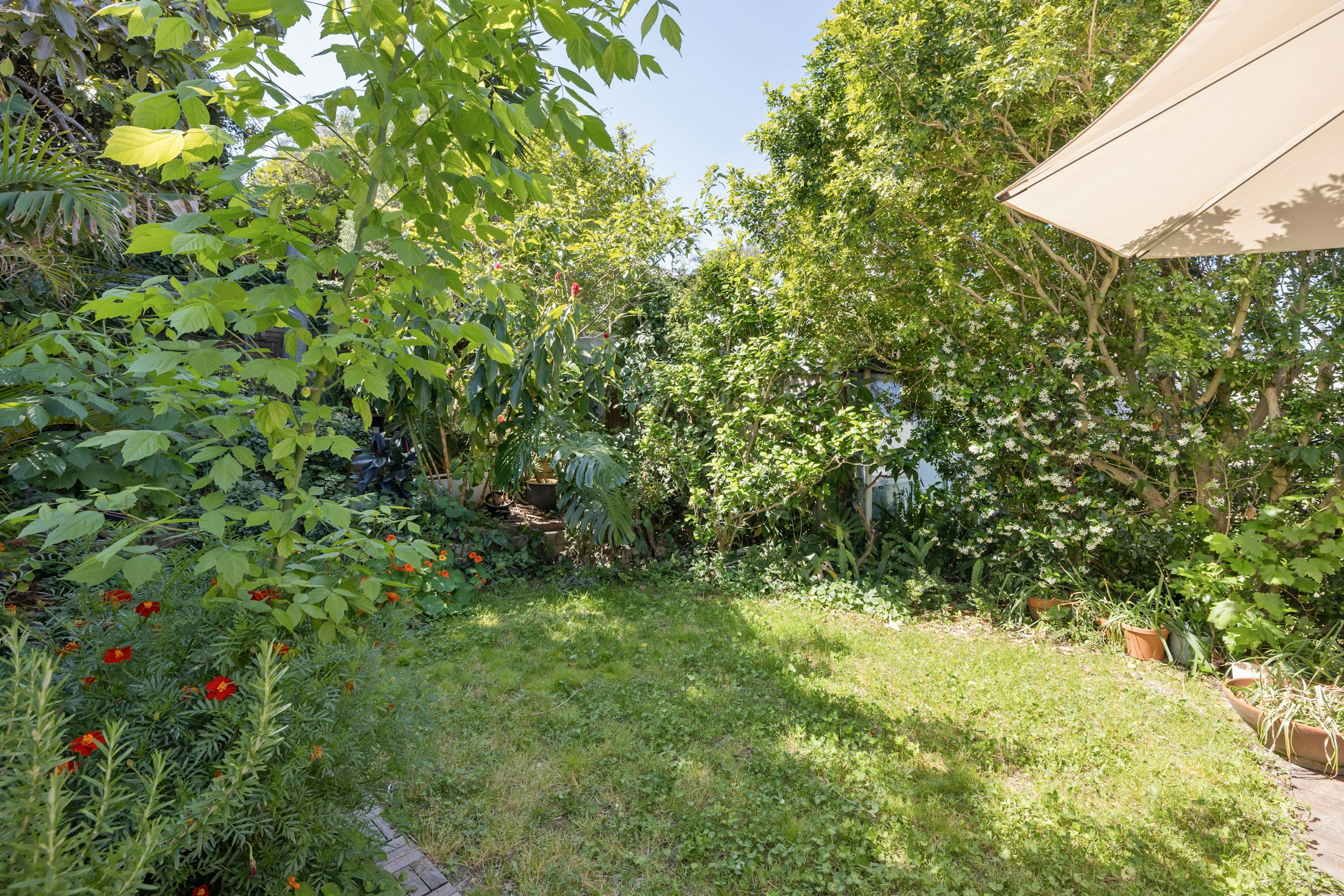 garden