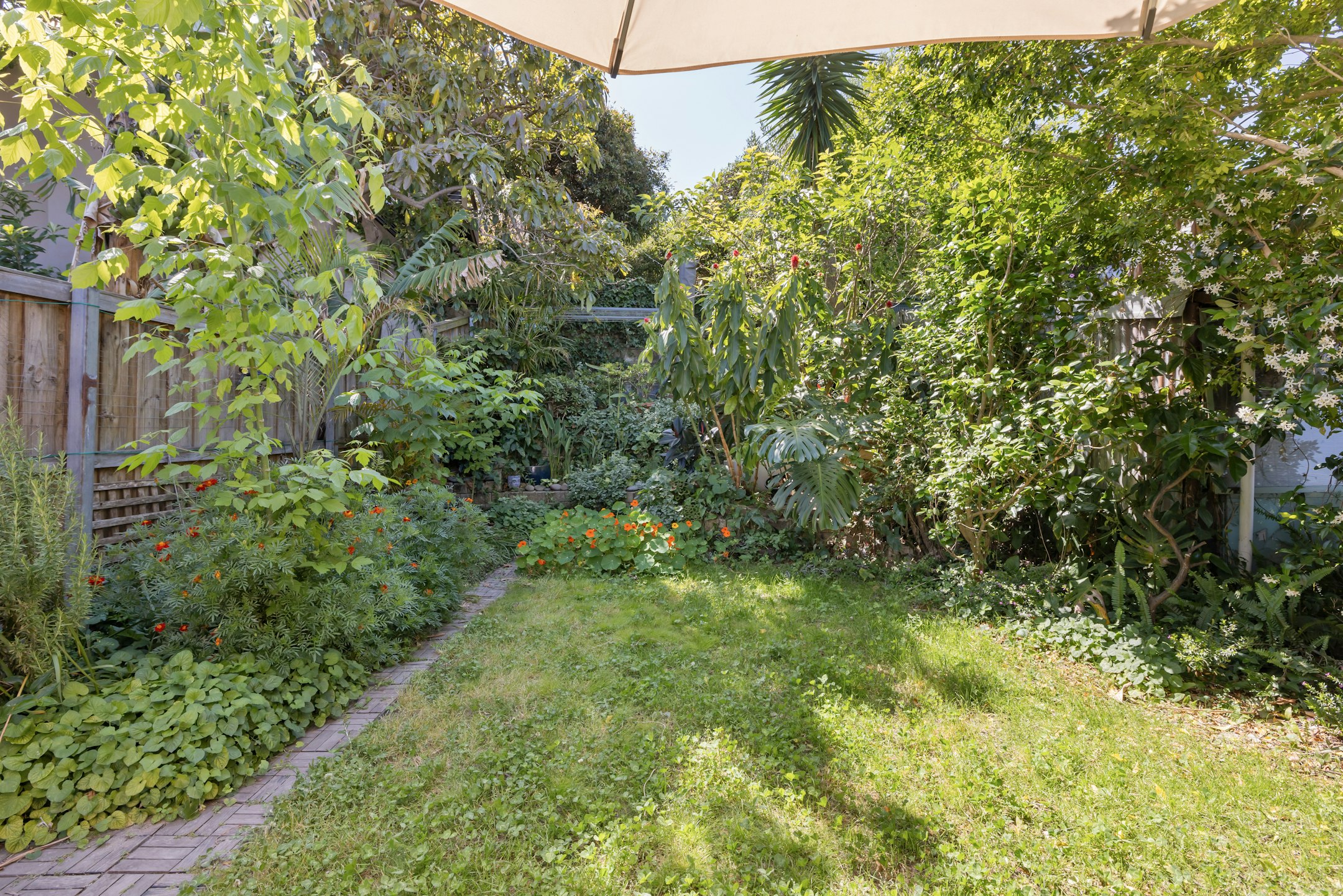 garden