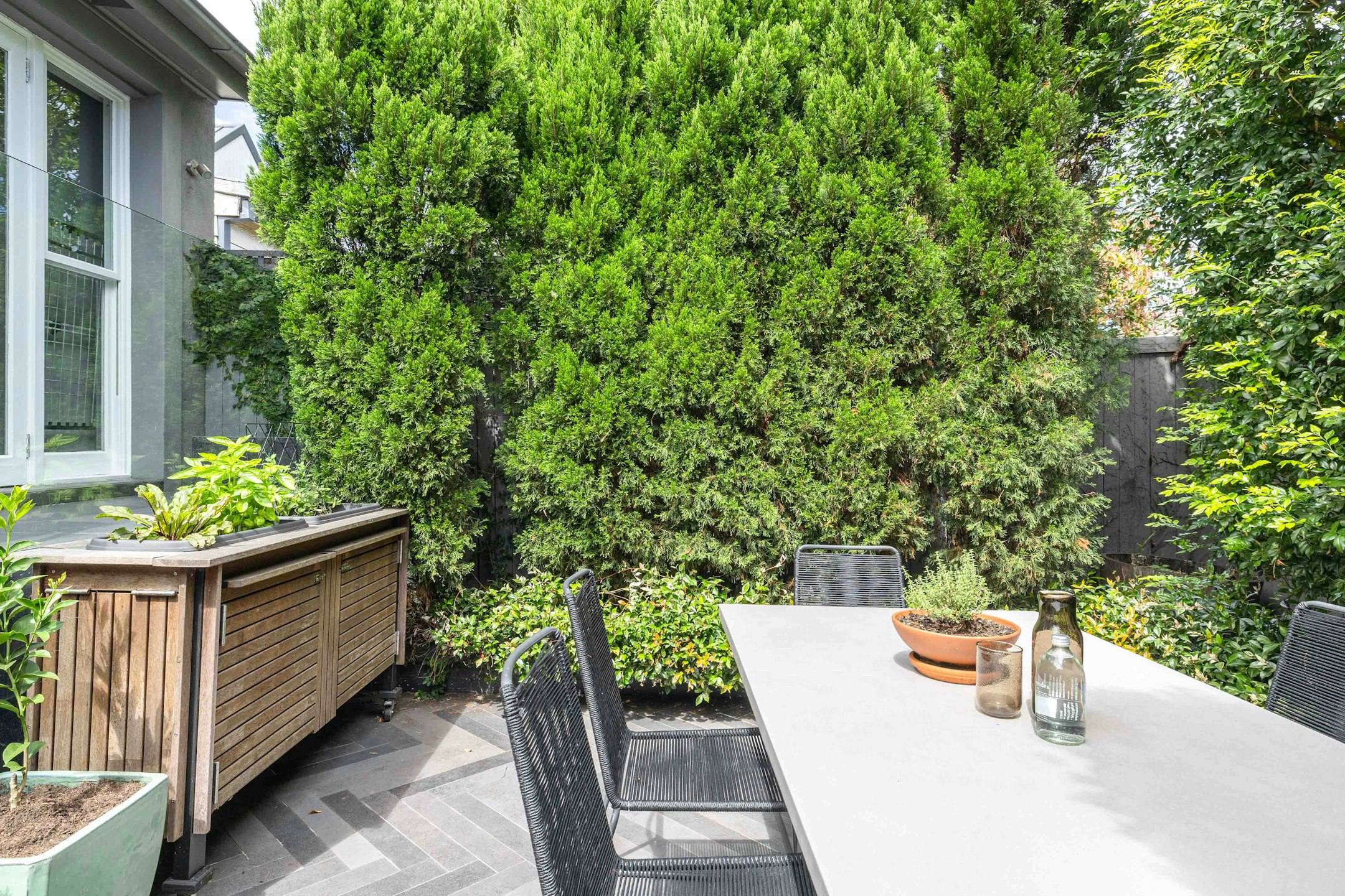 backyard