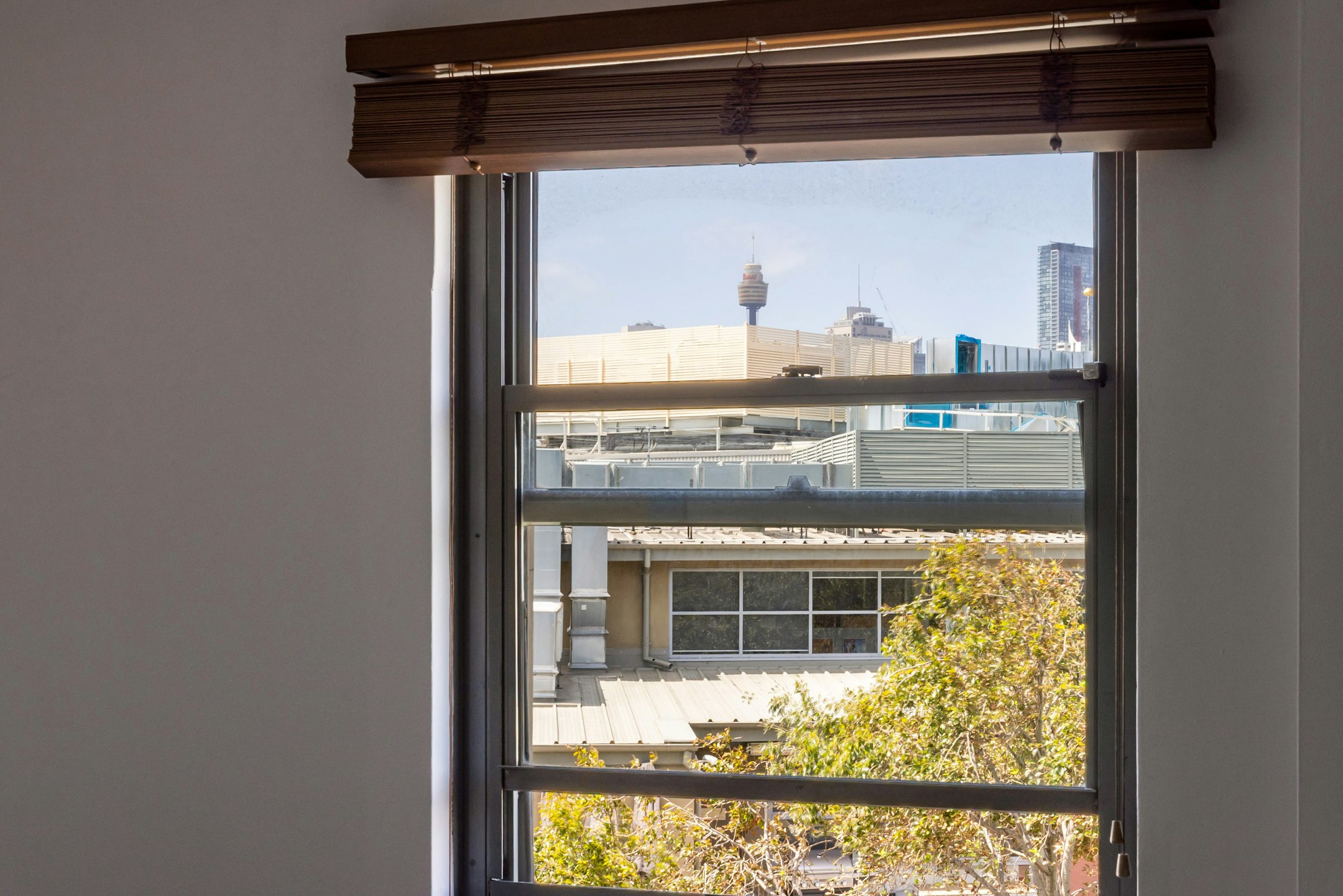 window
