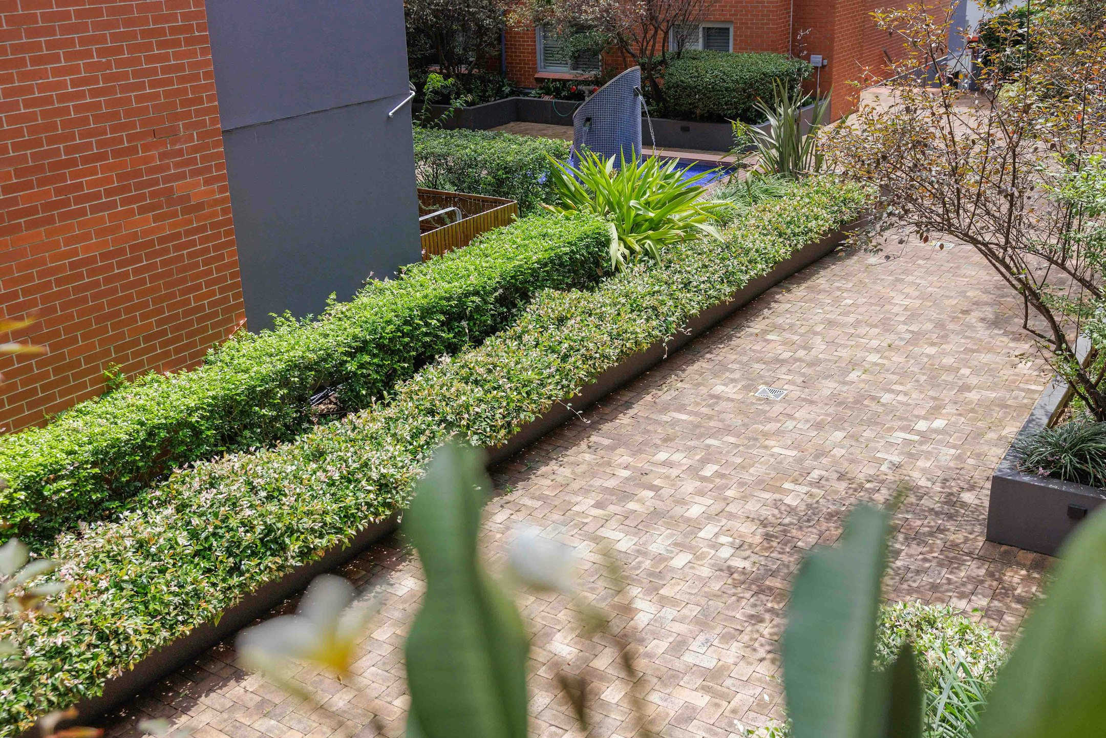 garden
