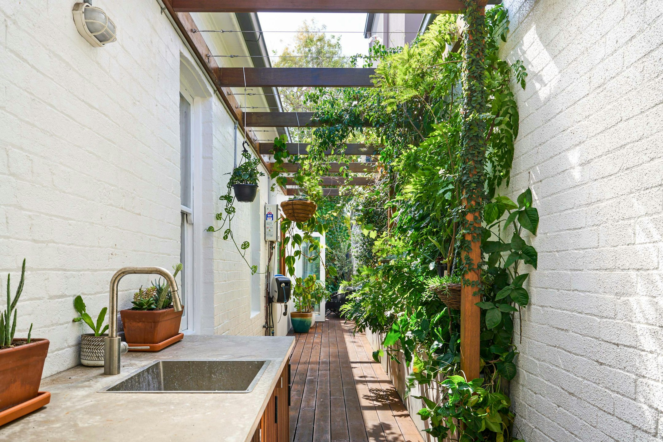 garden