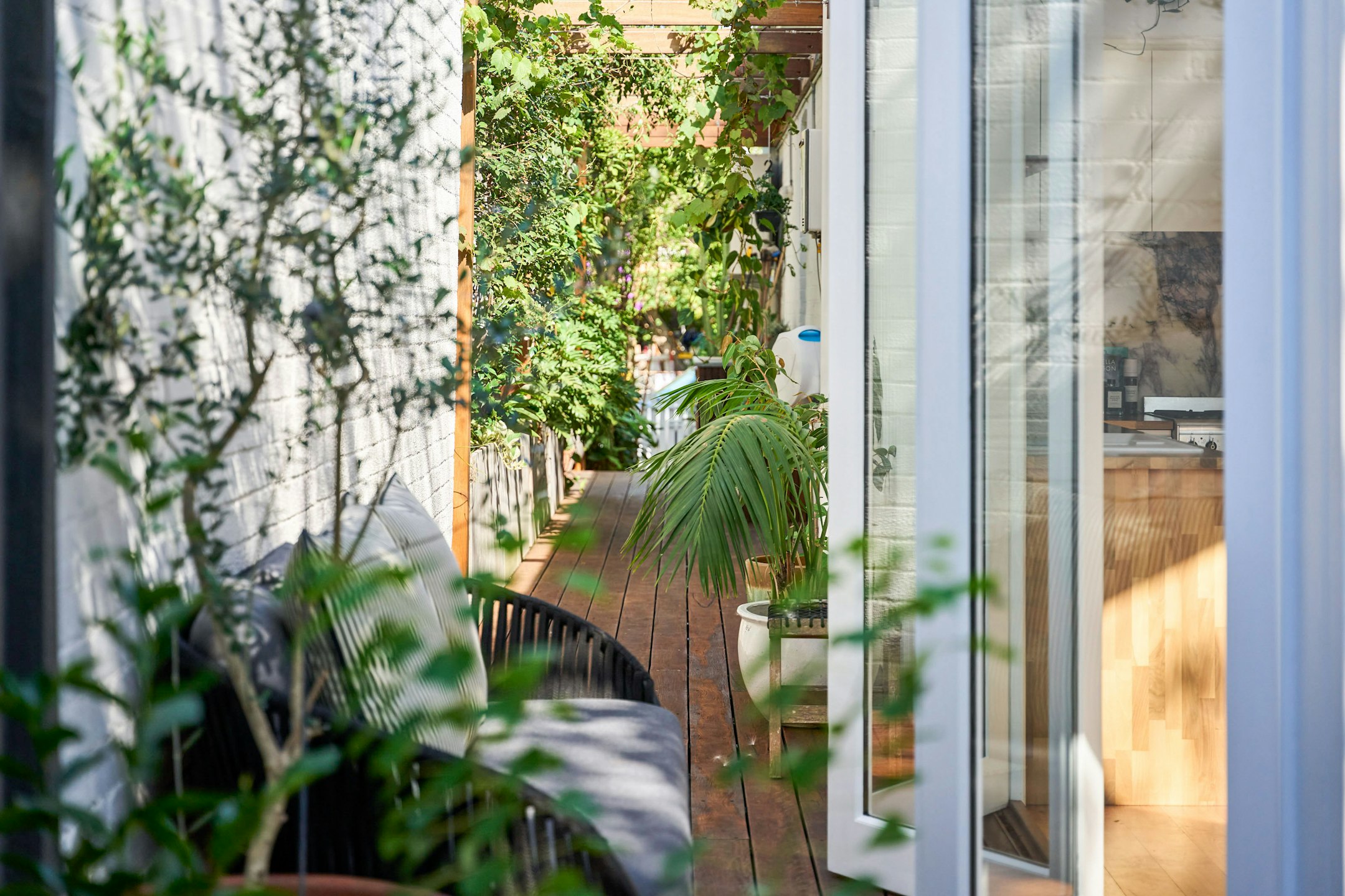 garden