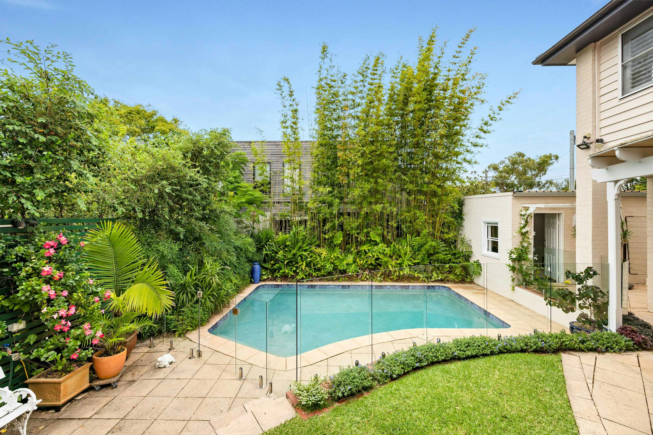 backyard