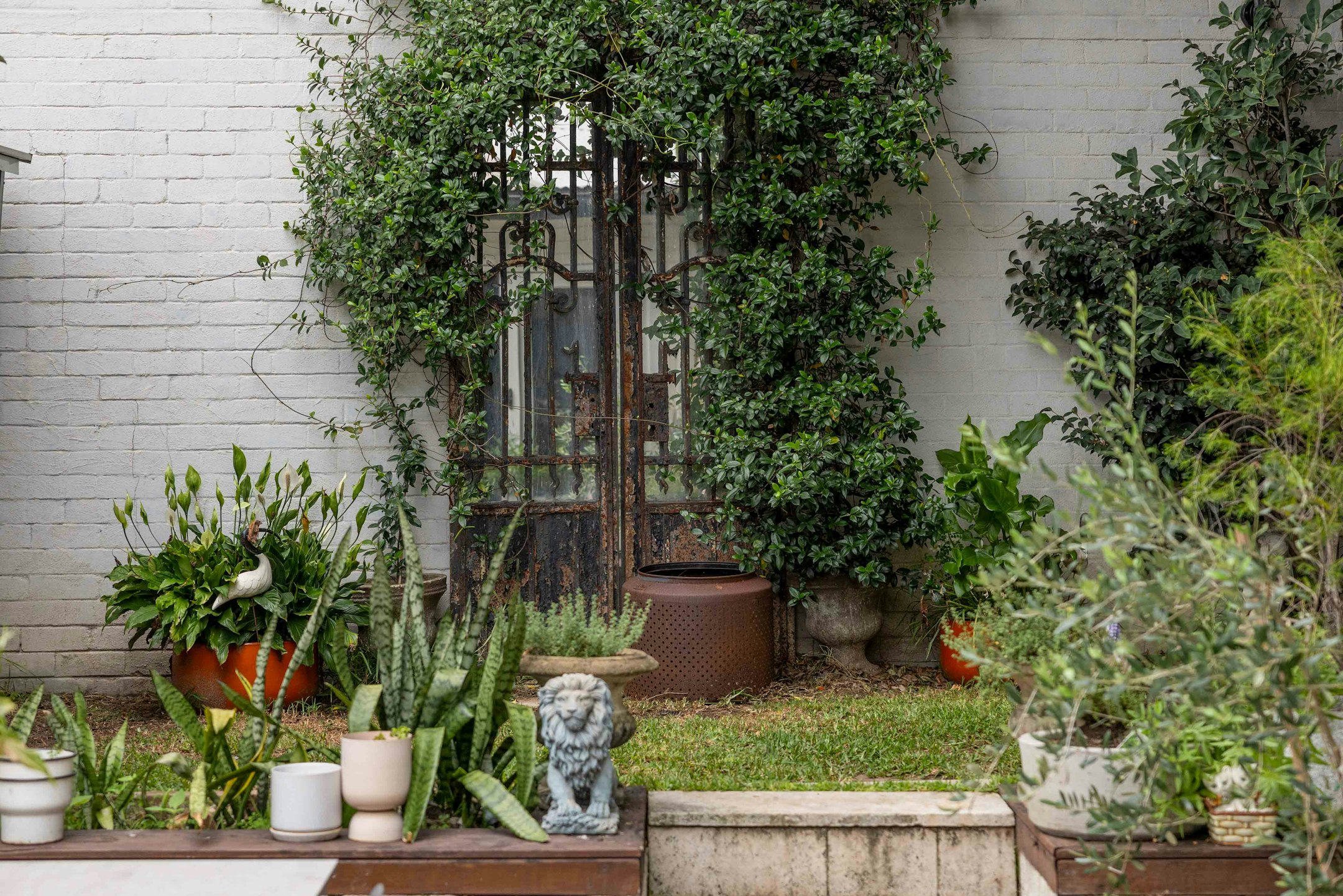 garden