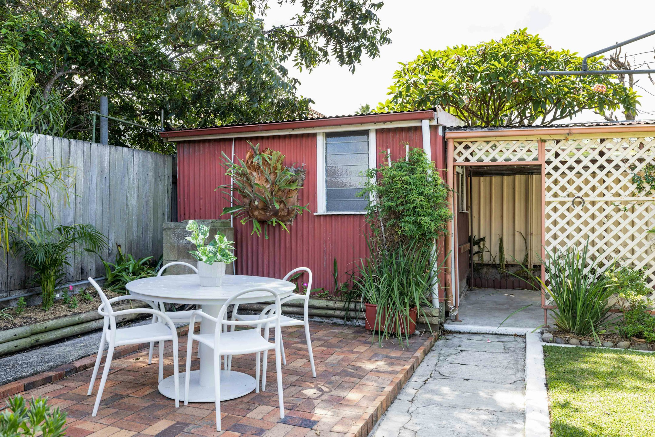 backyard