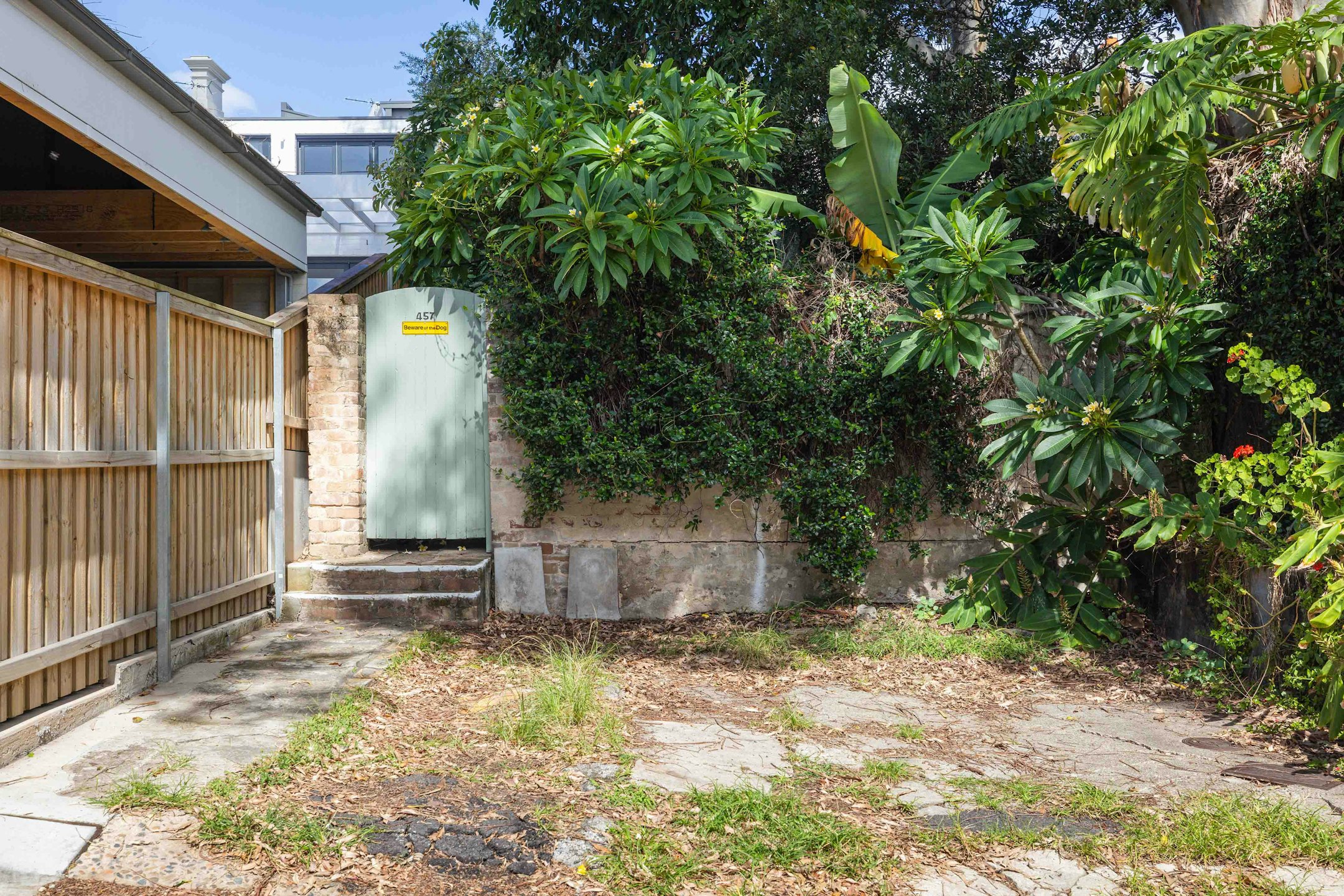 backyard
