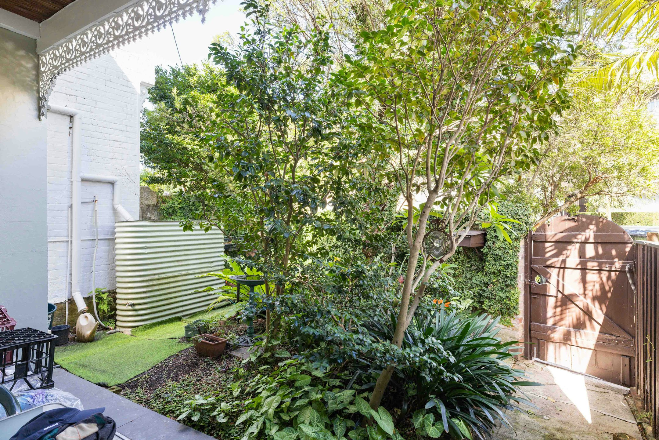 backyard