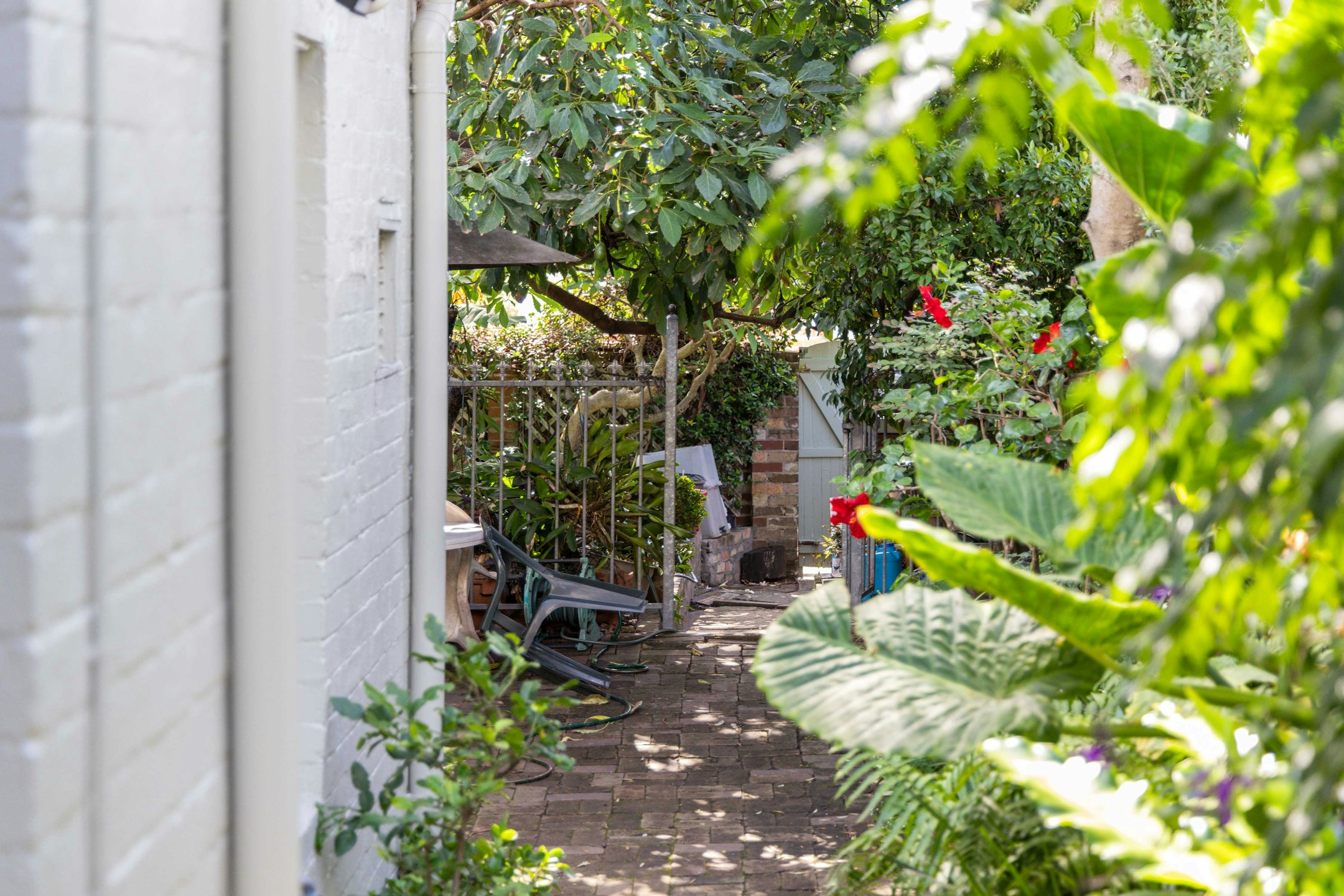 garden