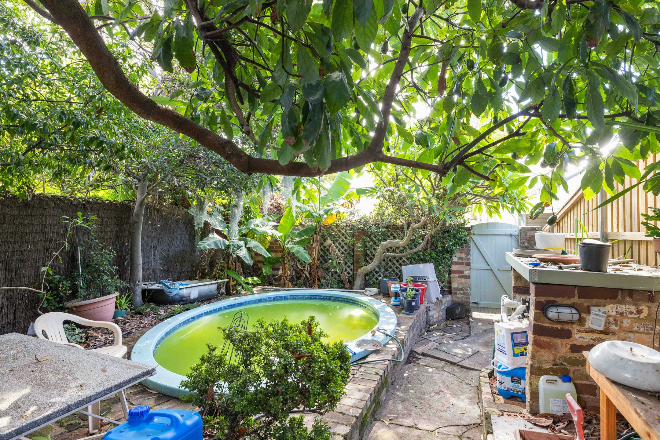 backyard