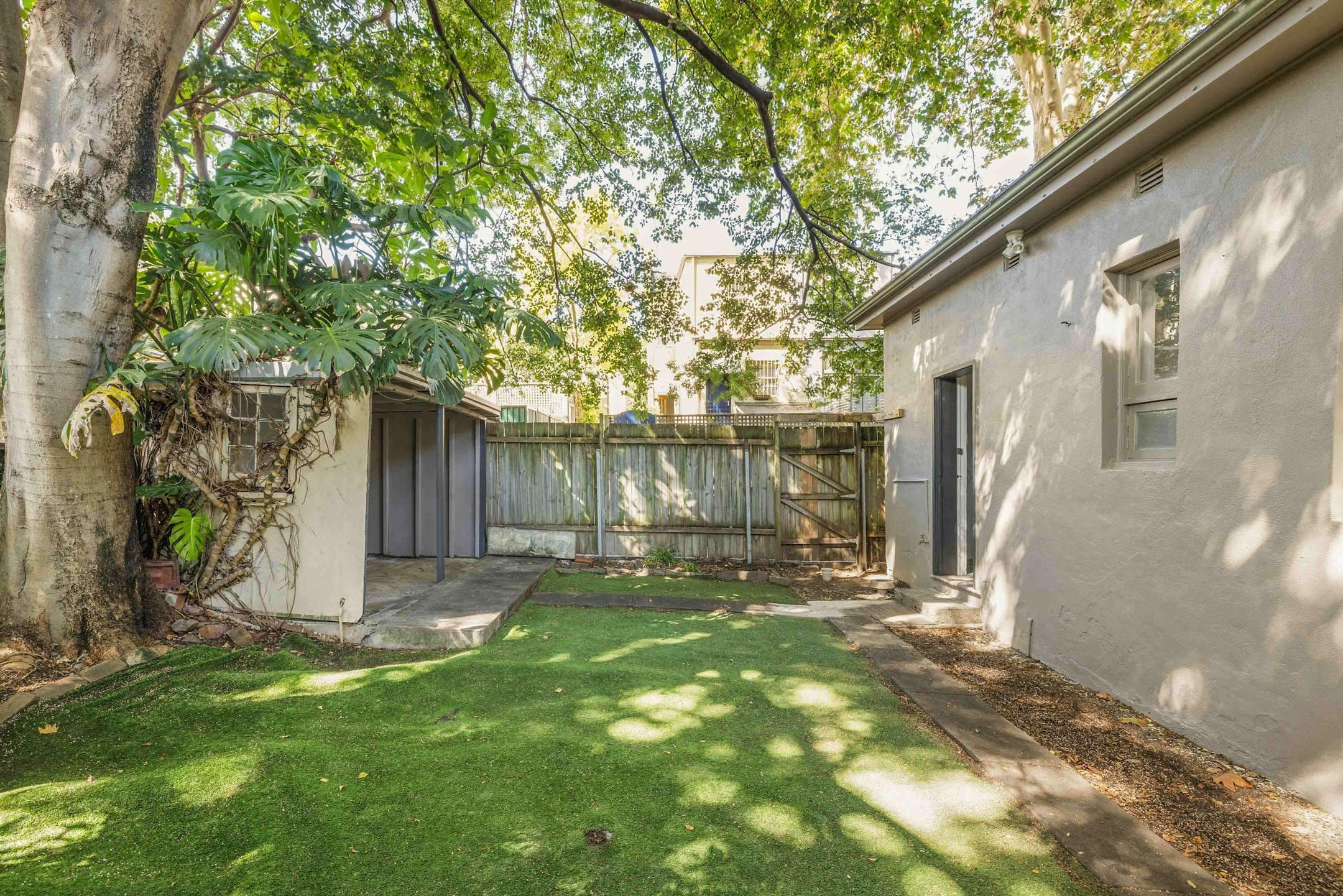 backyard