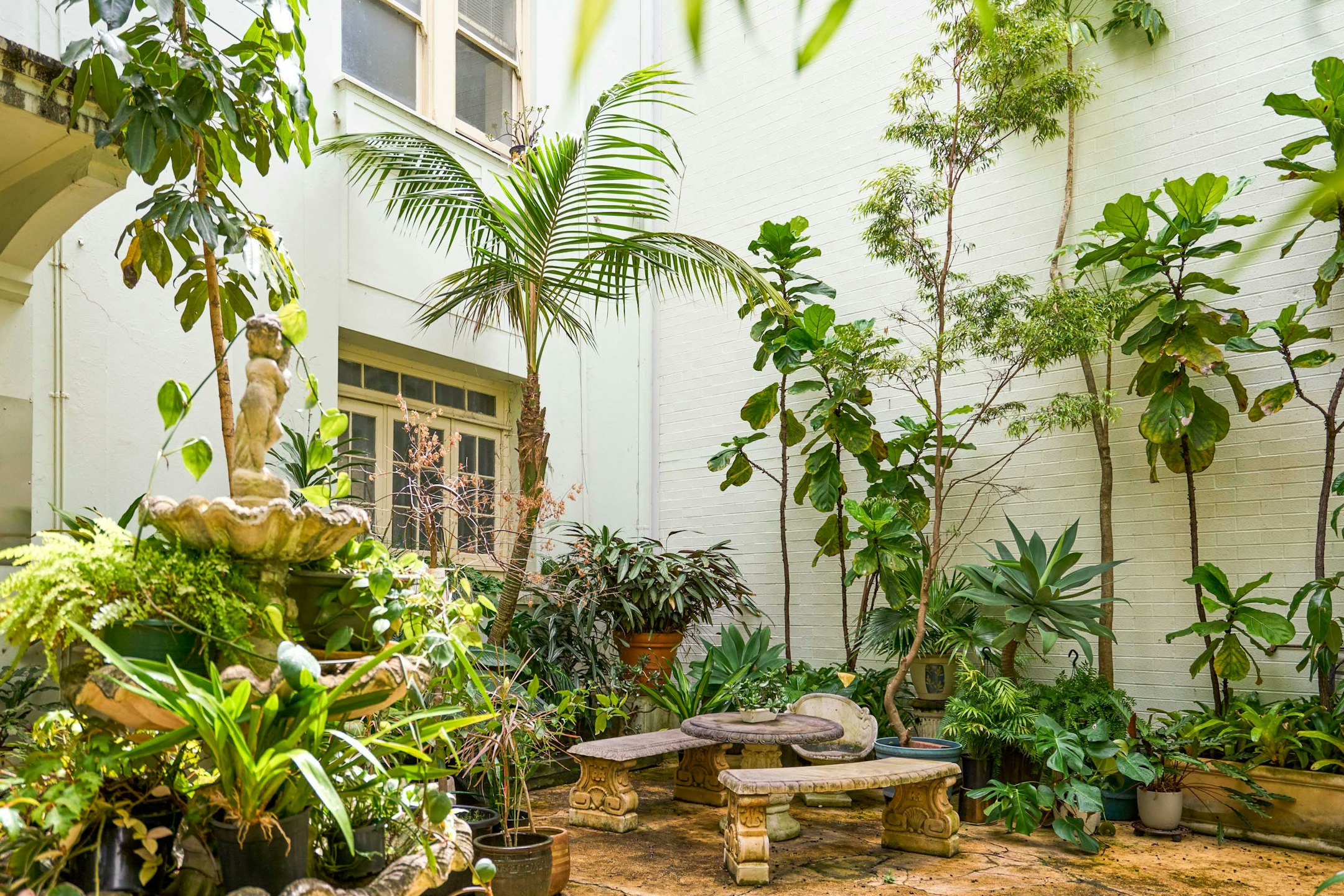 garden