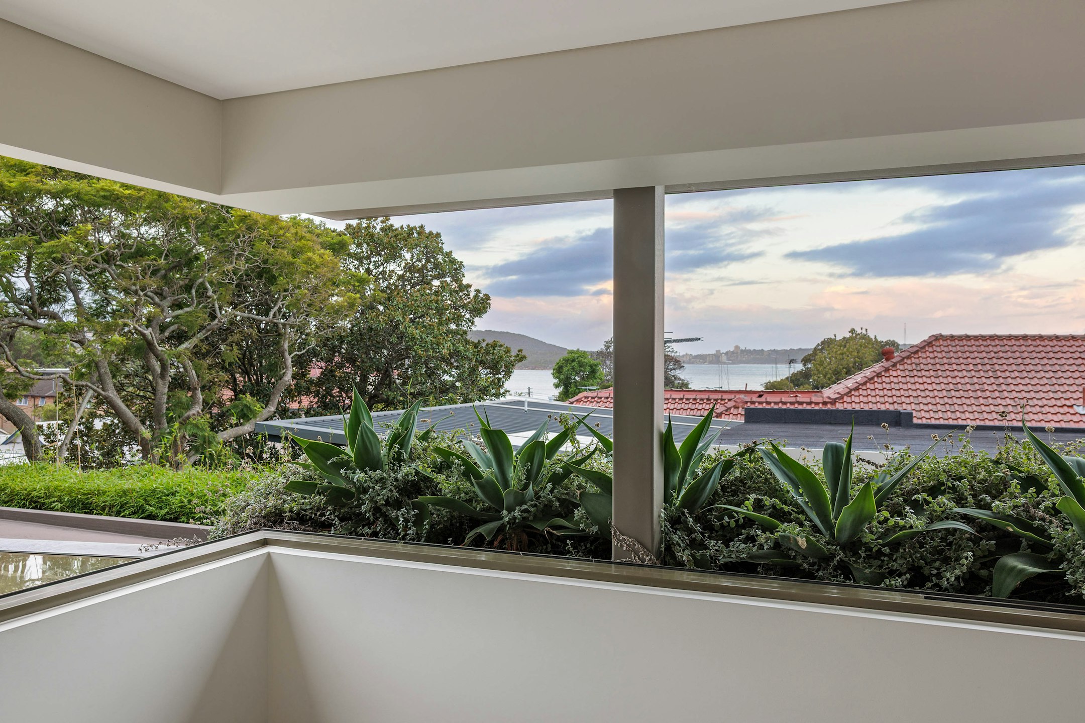 window