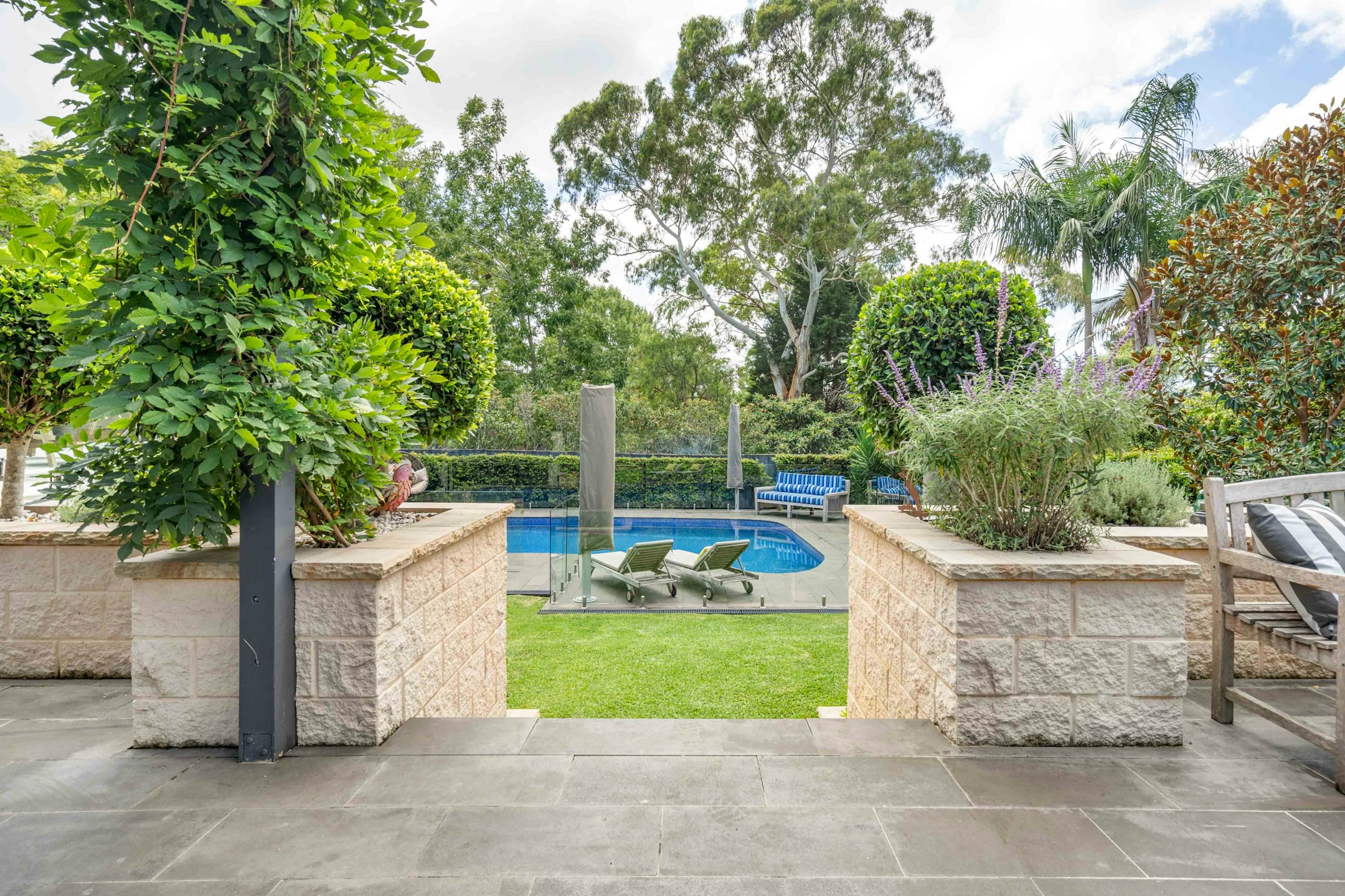 backyard