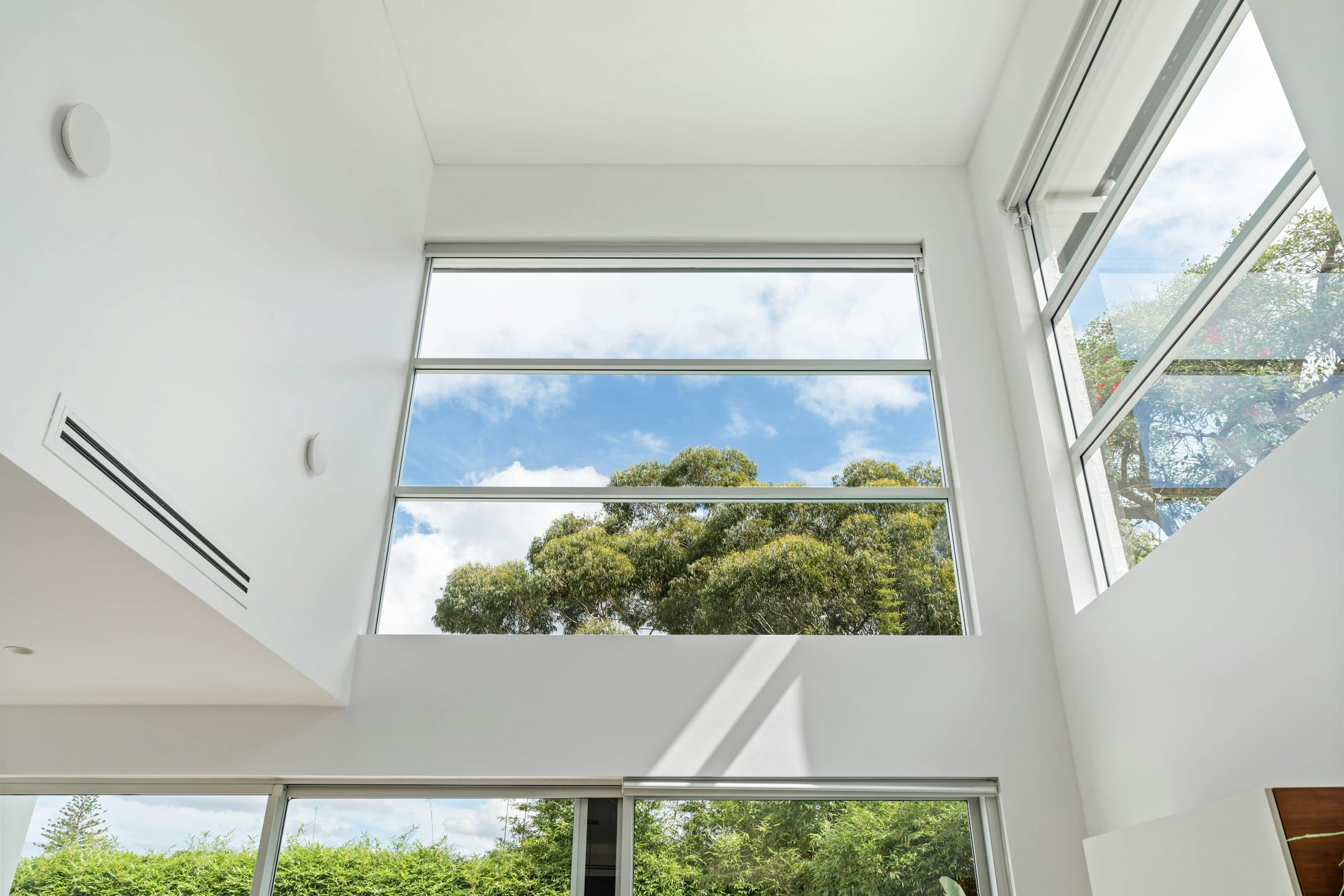 window