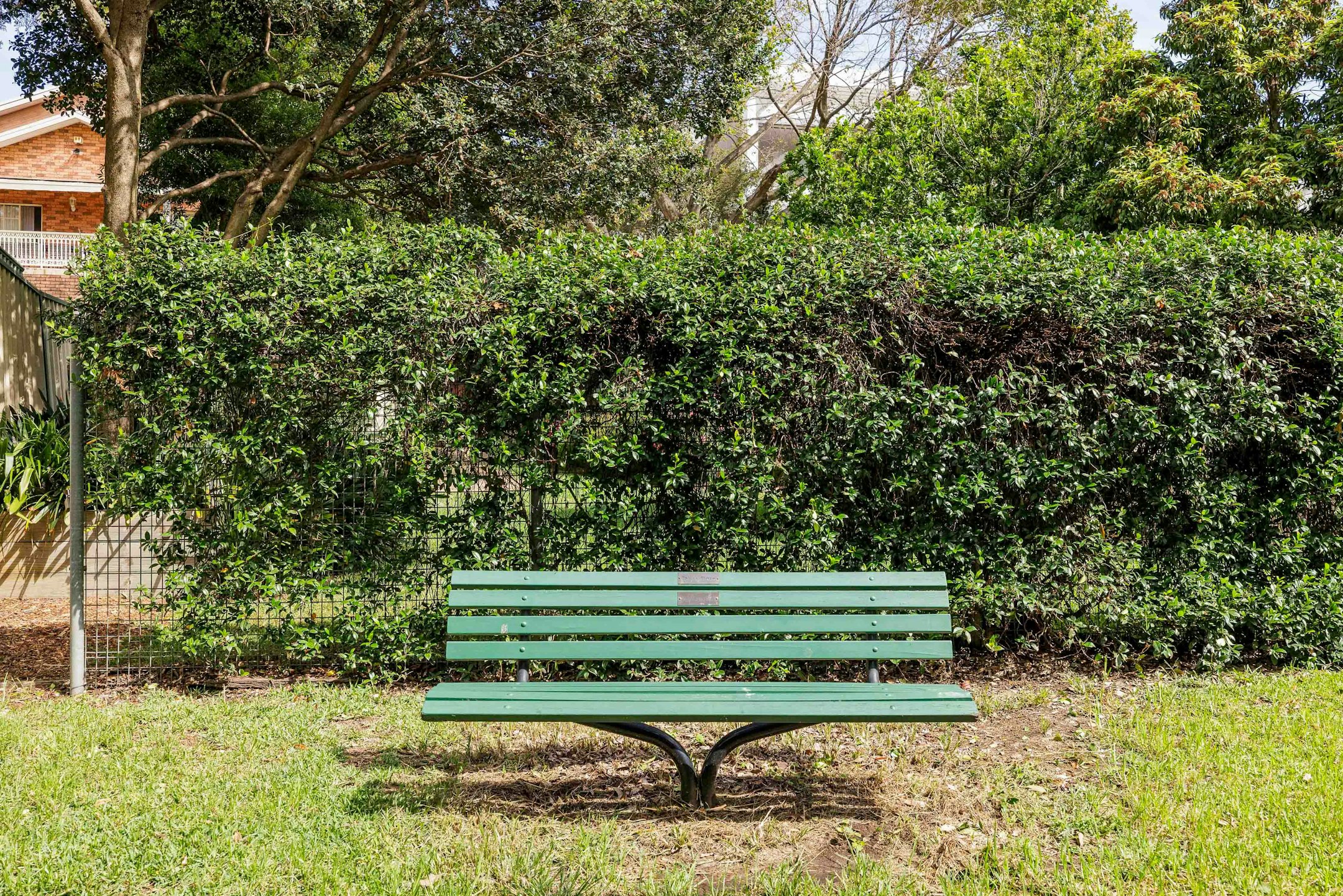 bench
