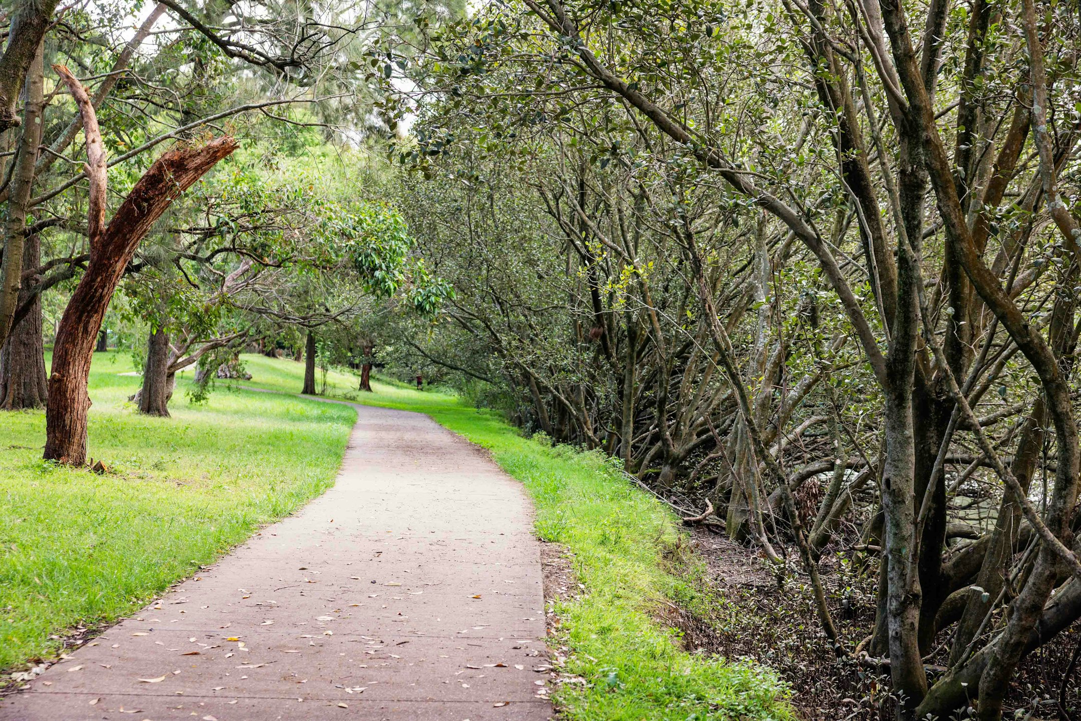 path