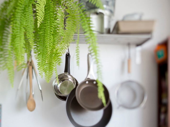 cookware