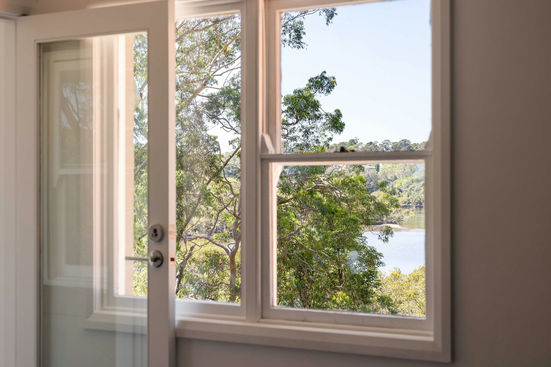 window
