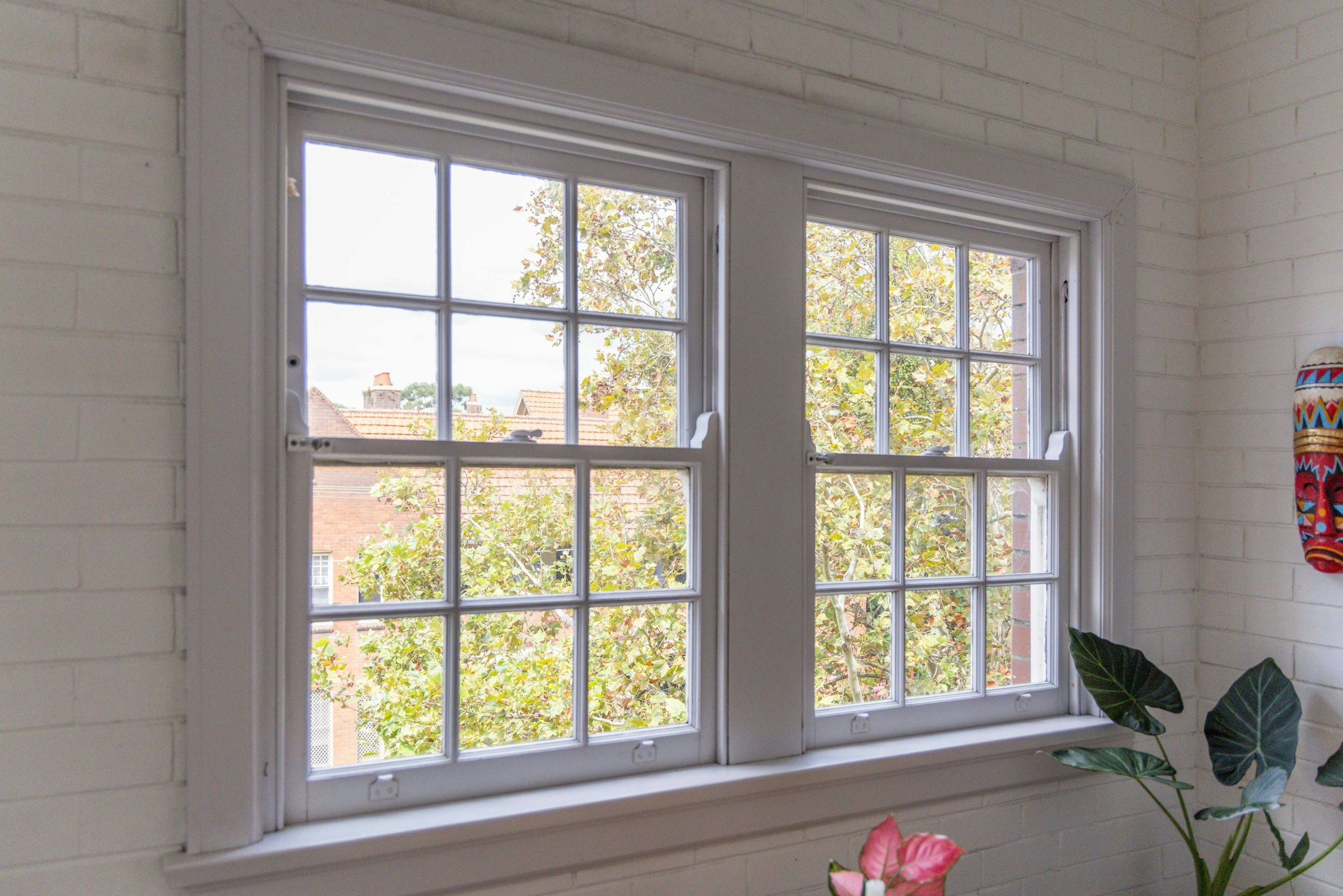 window