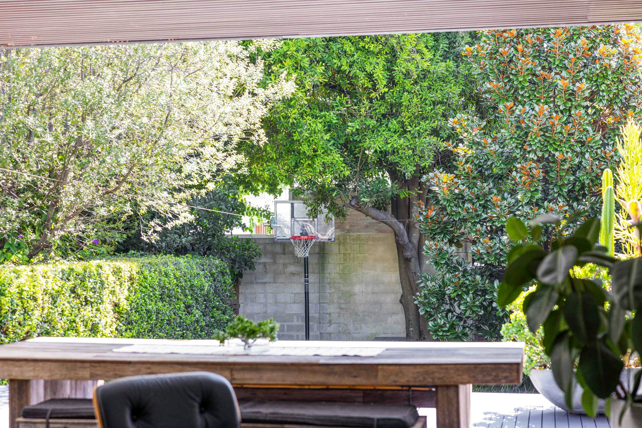 garden