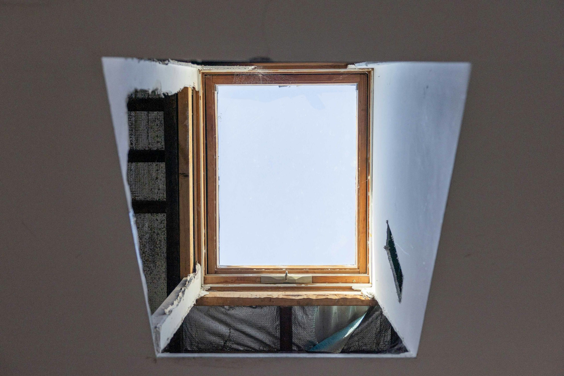 window