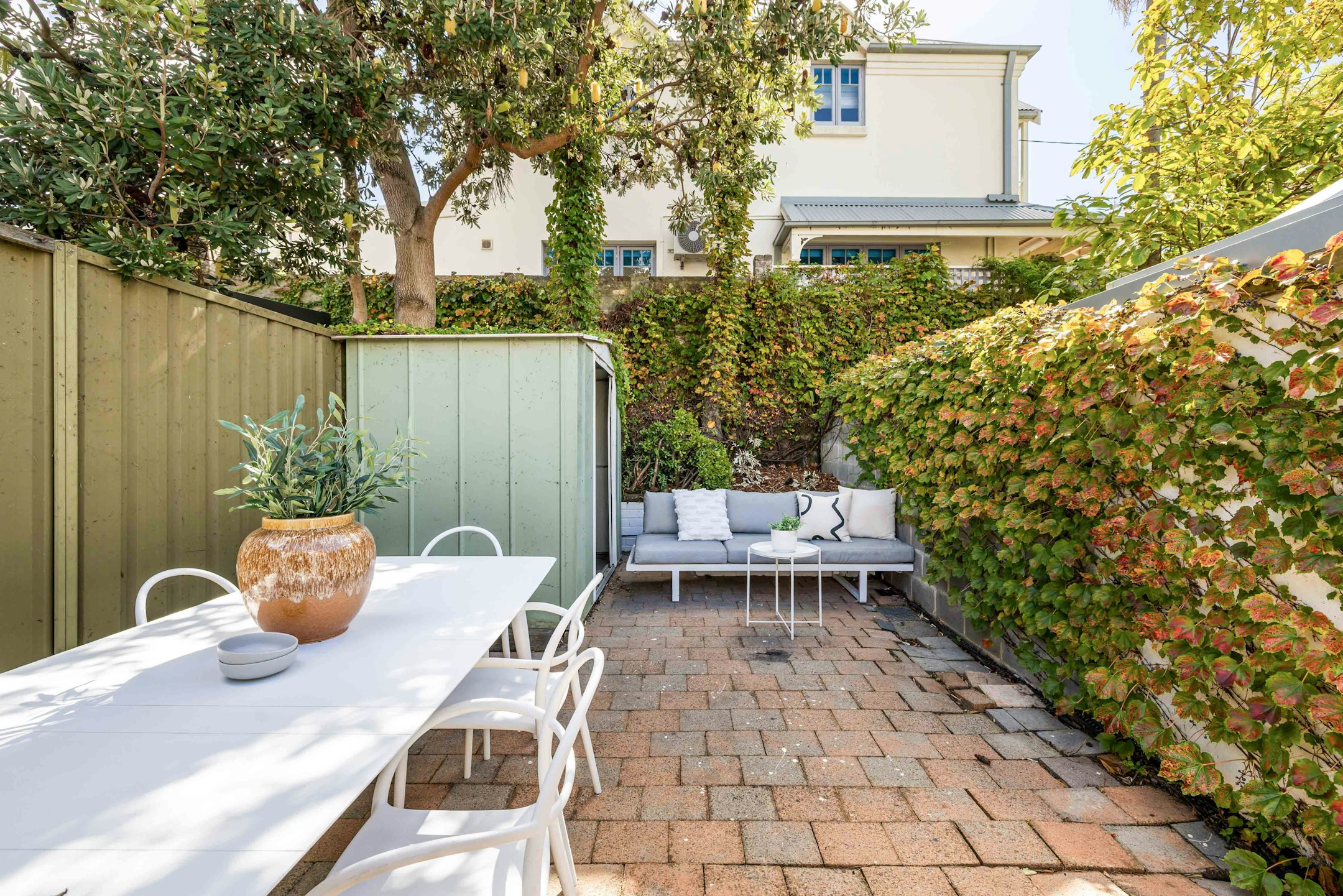 backyard