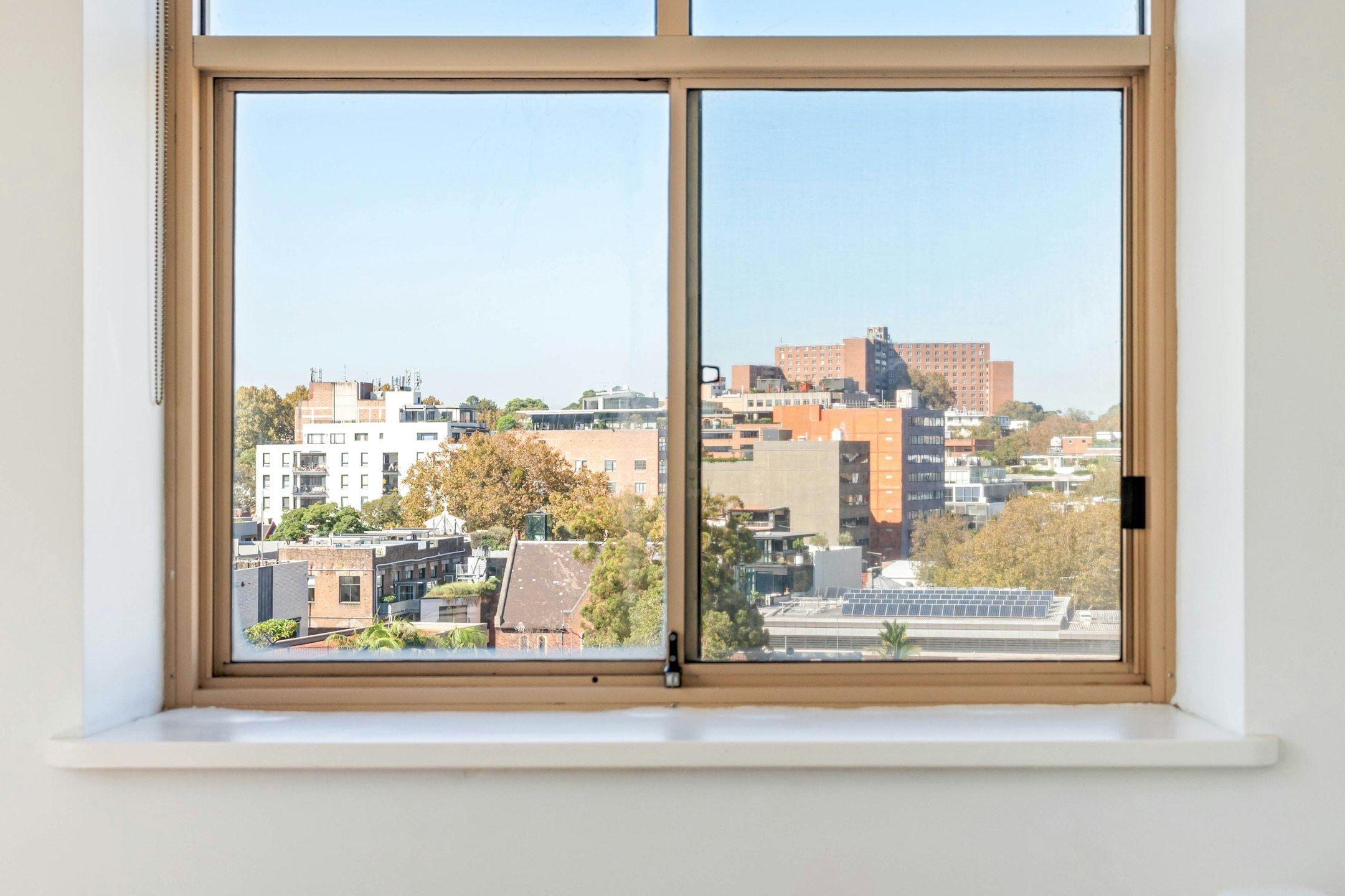 window