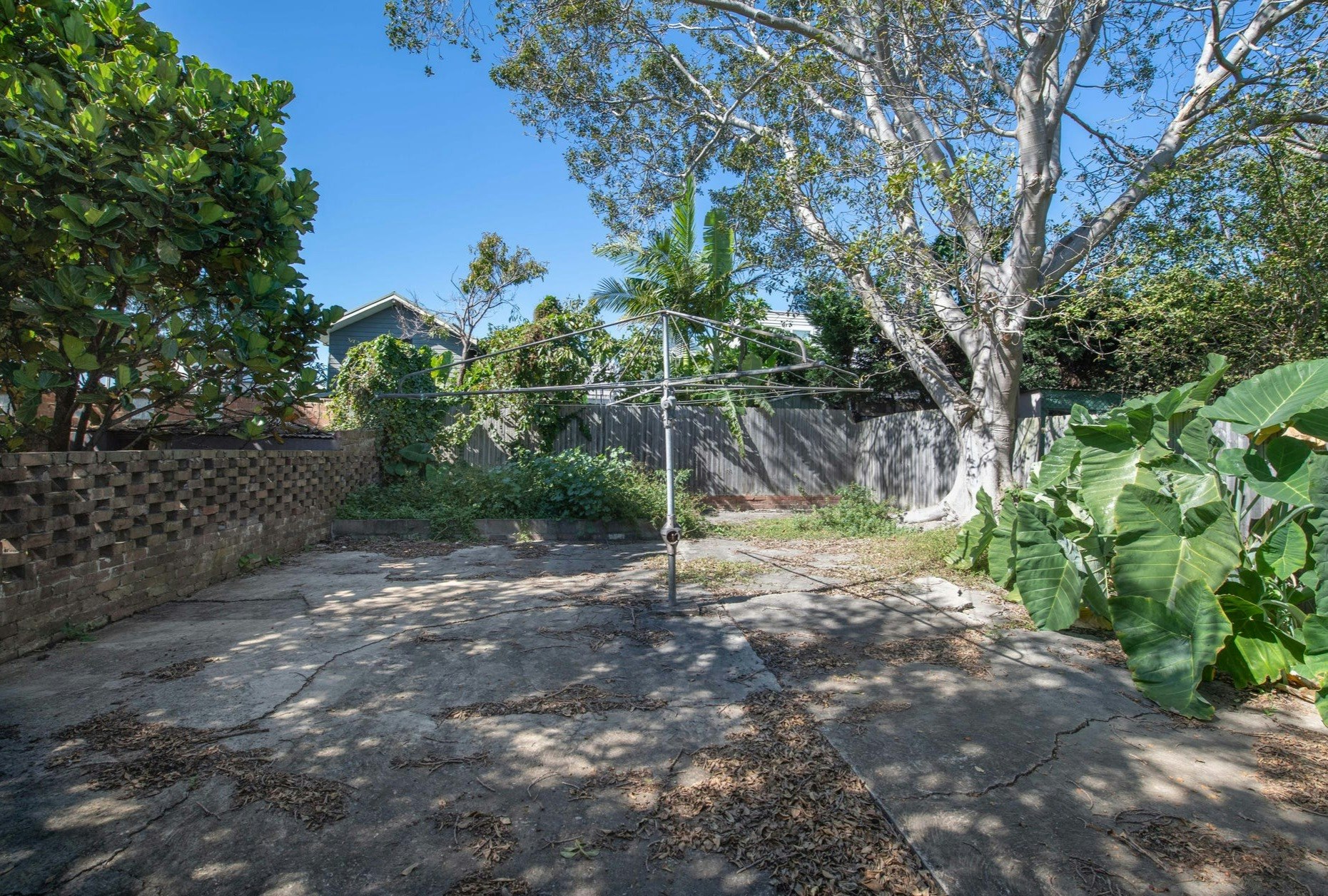 backyard