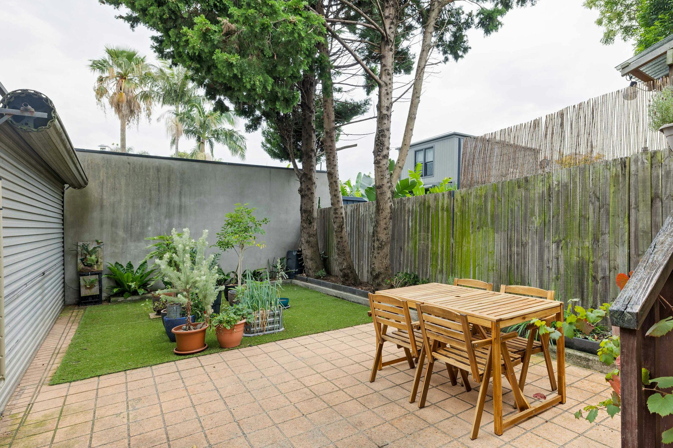 backyard