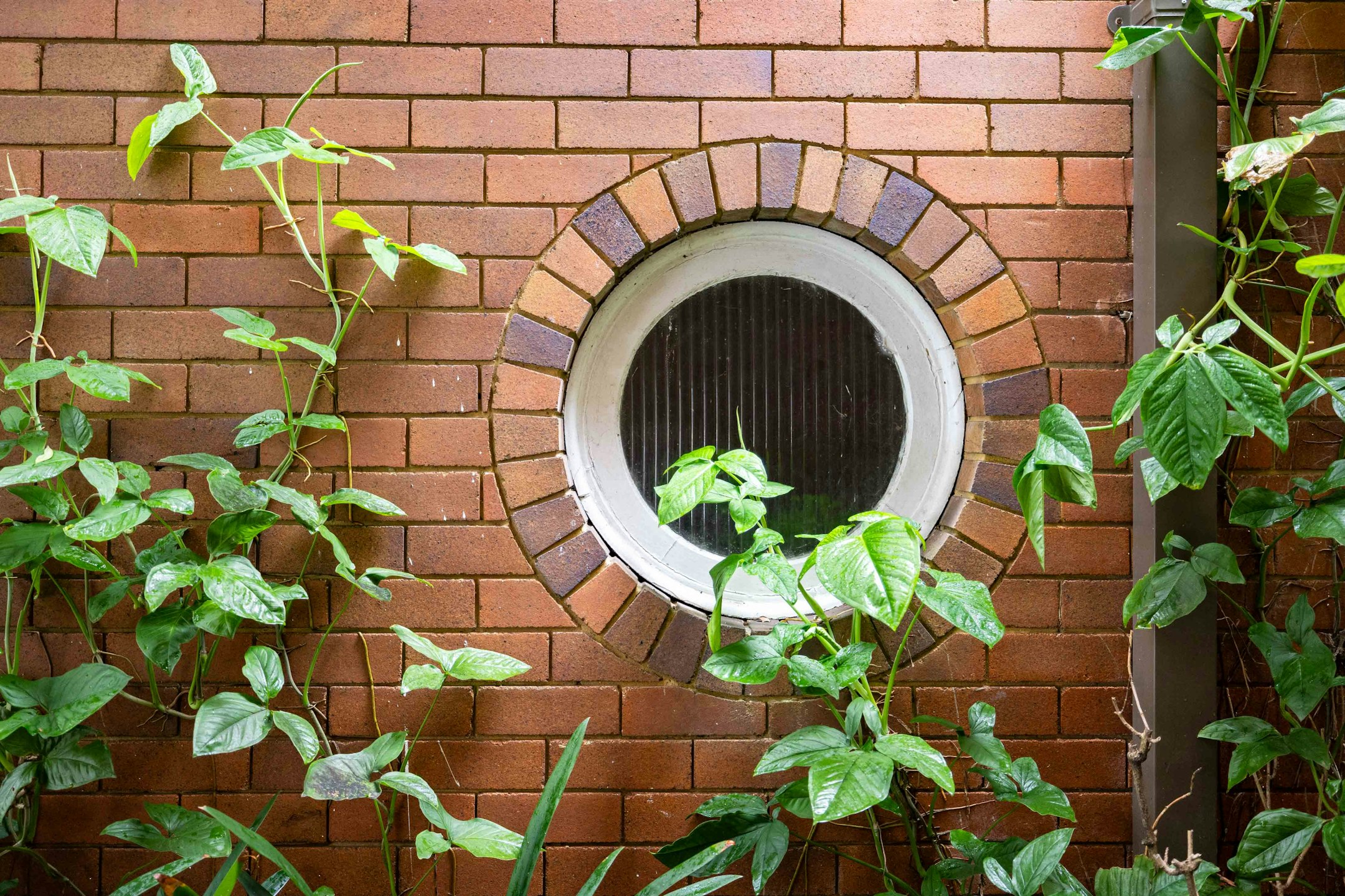 brick