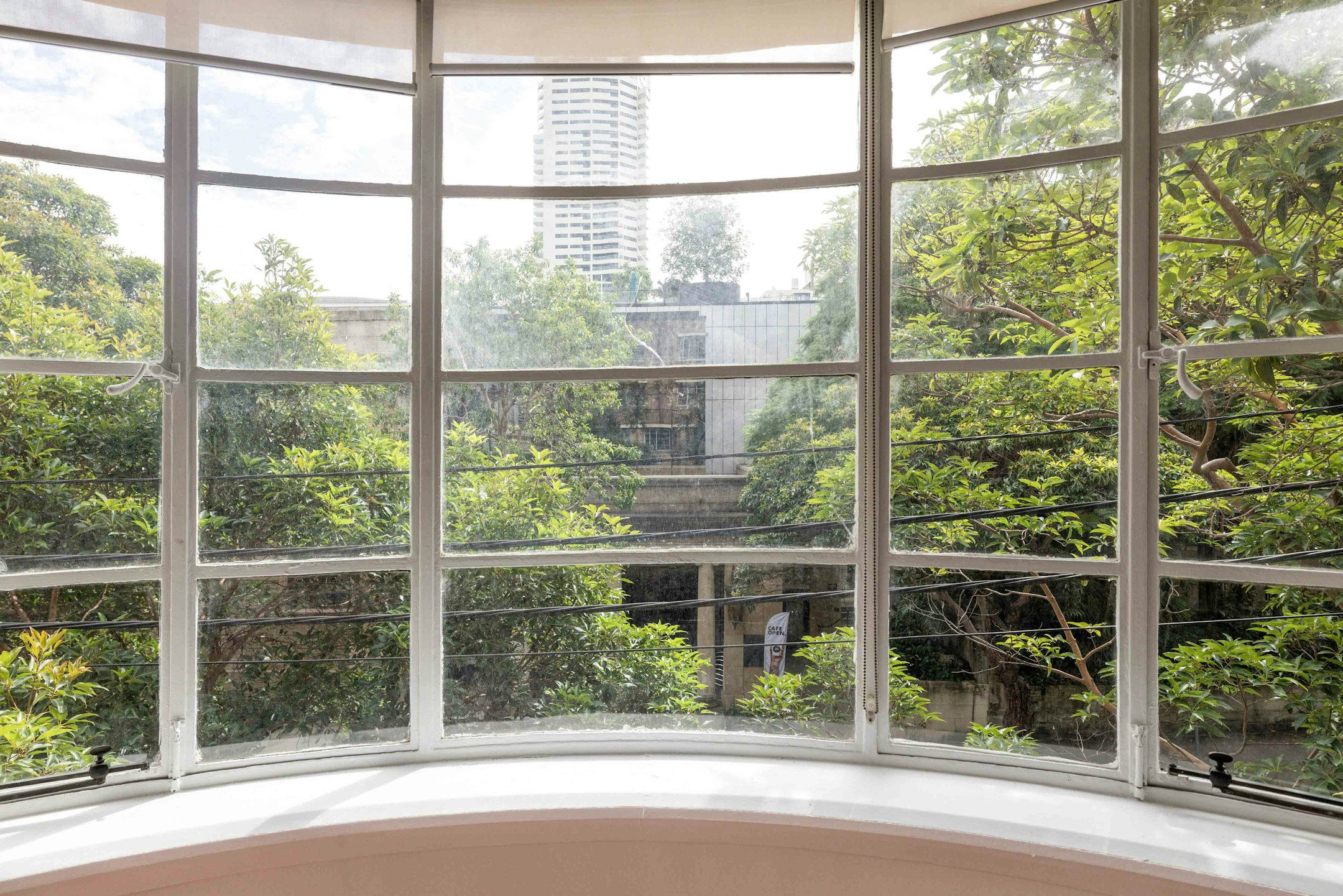 window