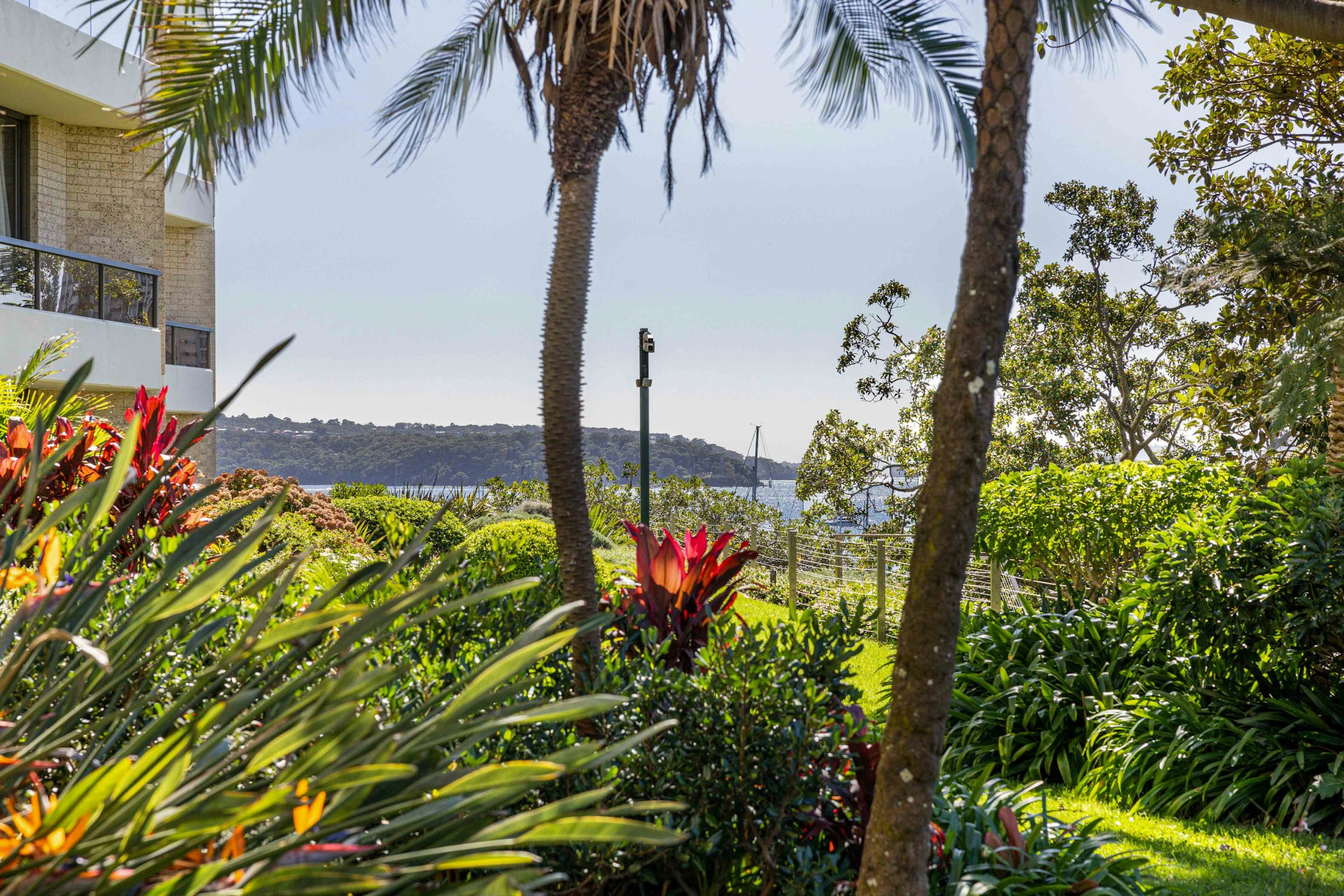 vegetation