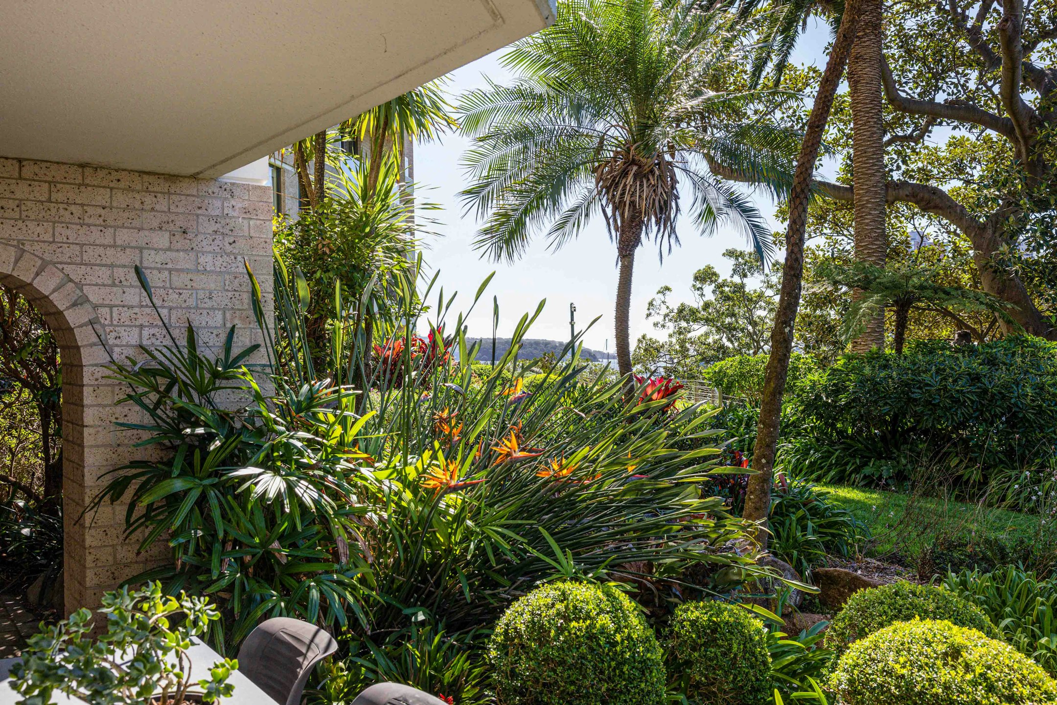 garden