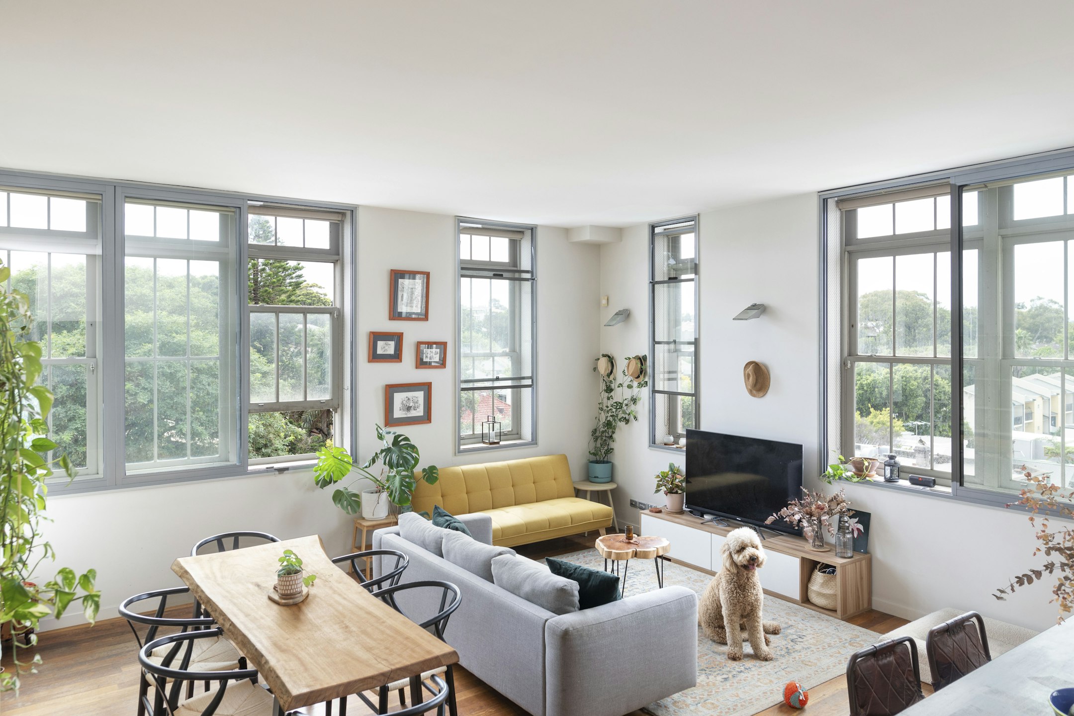 furniture