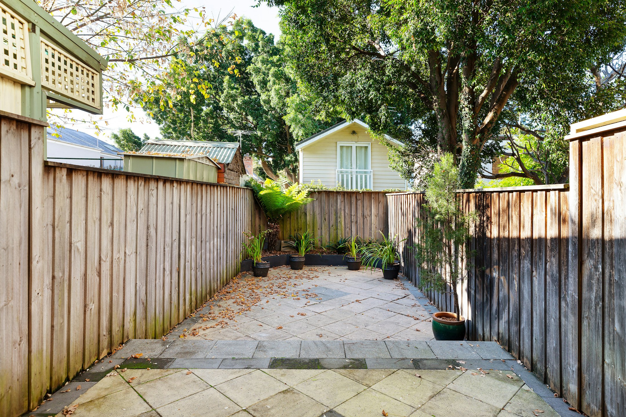 backyard