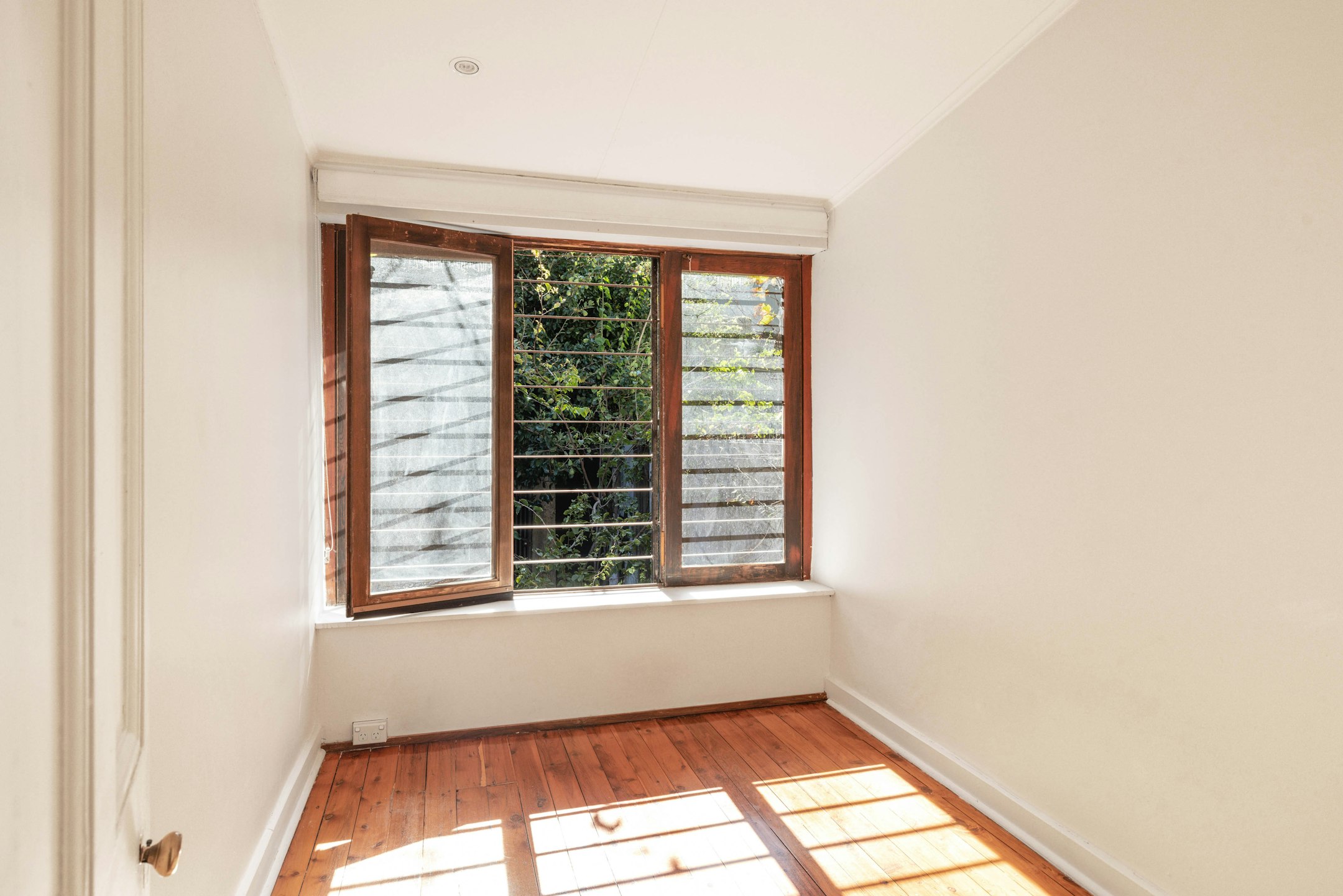 window