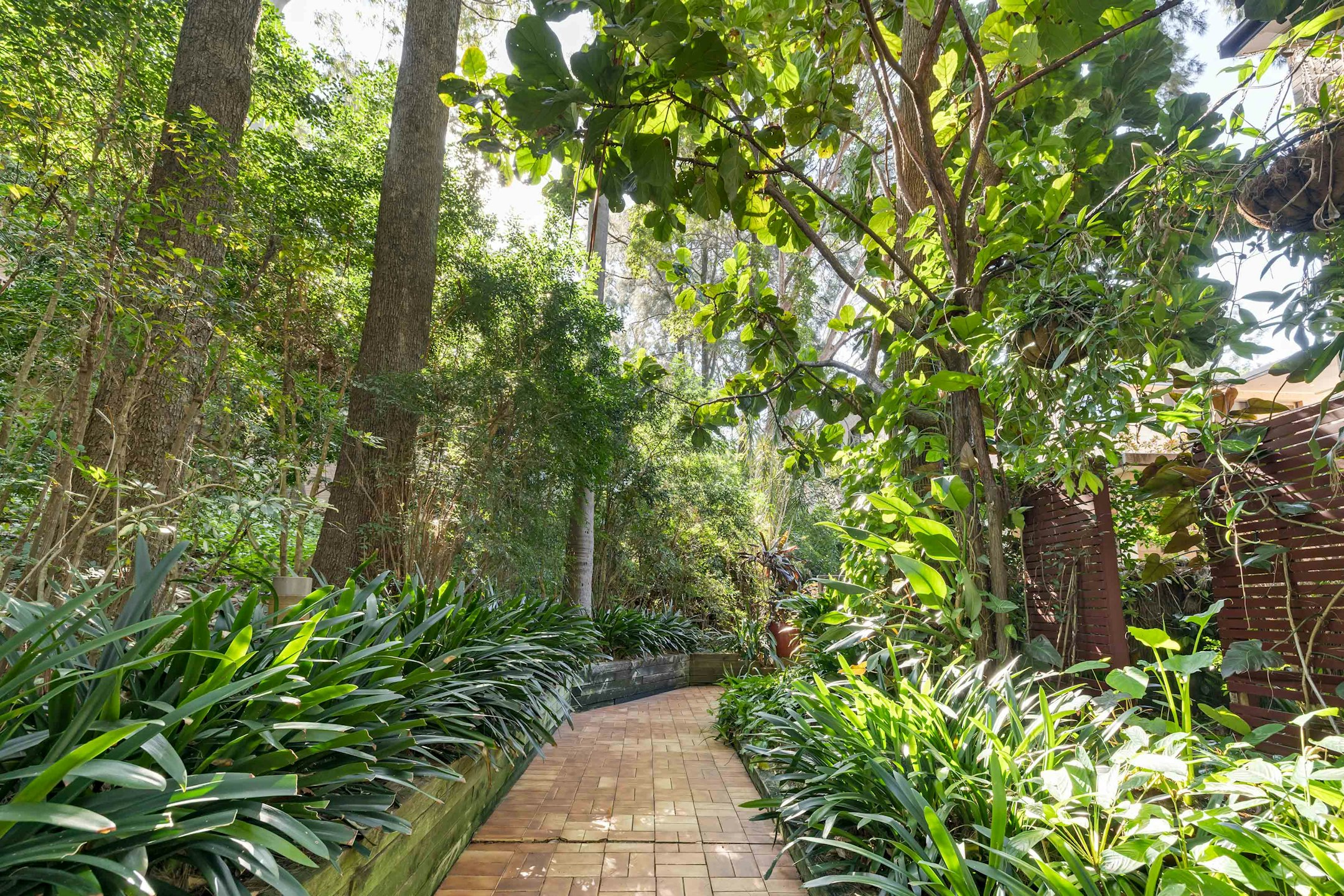vegetation