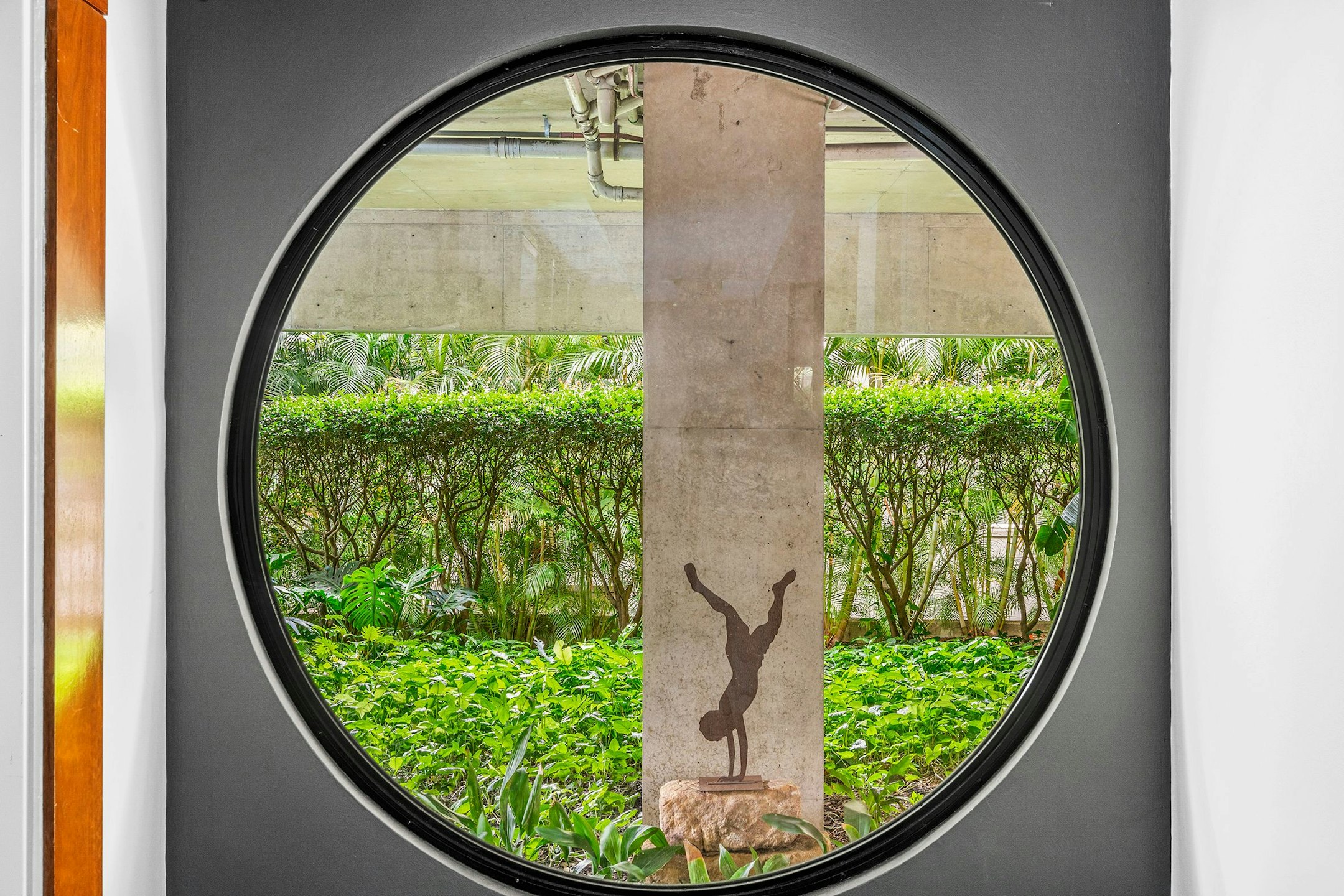 window