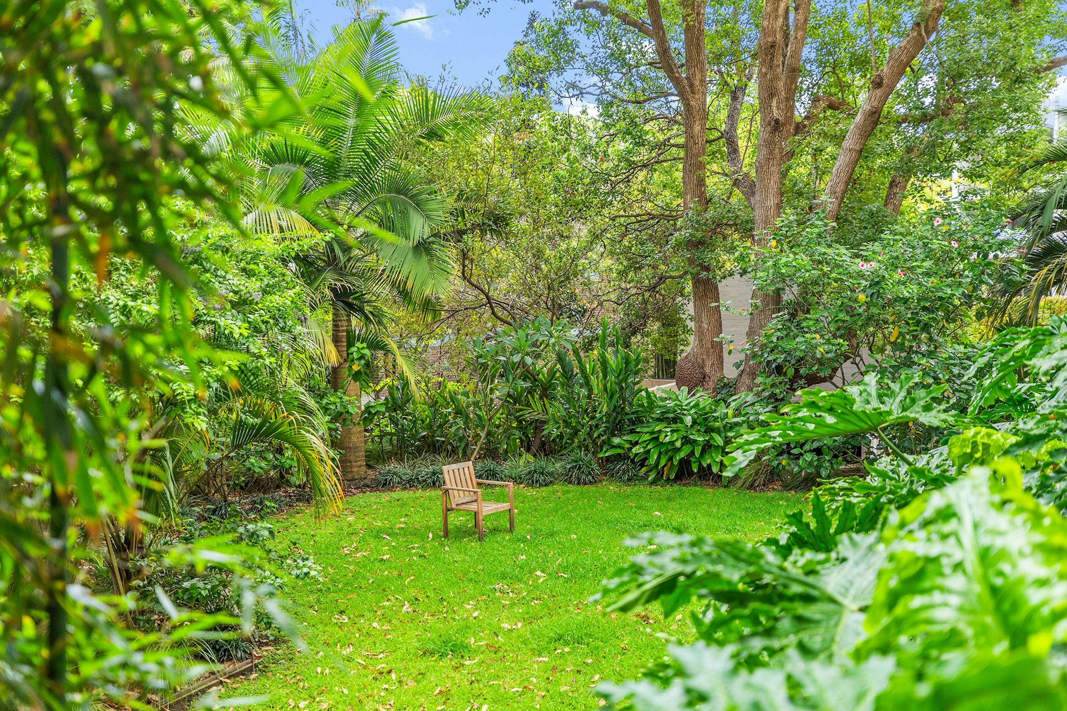 garden
