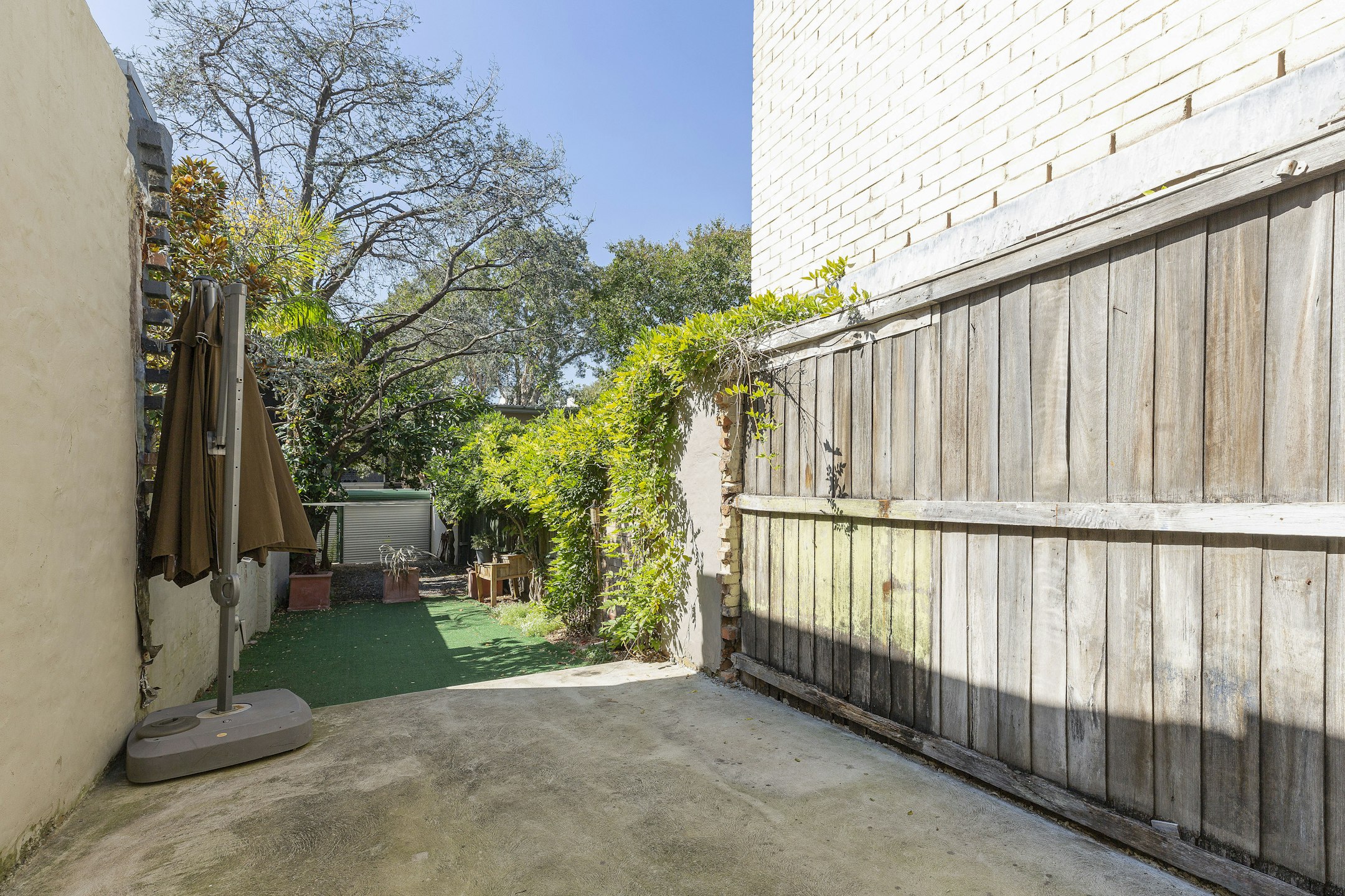 backyard