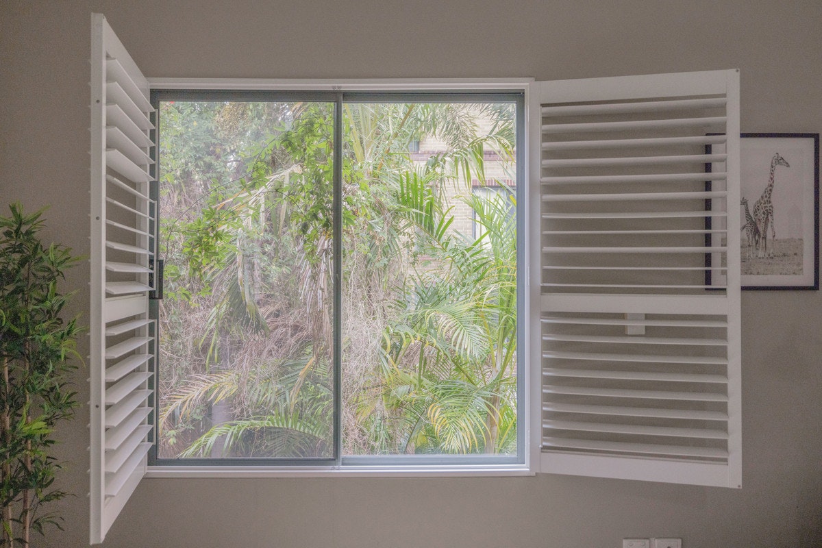 window