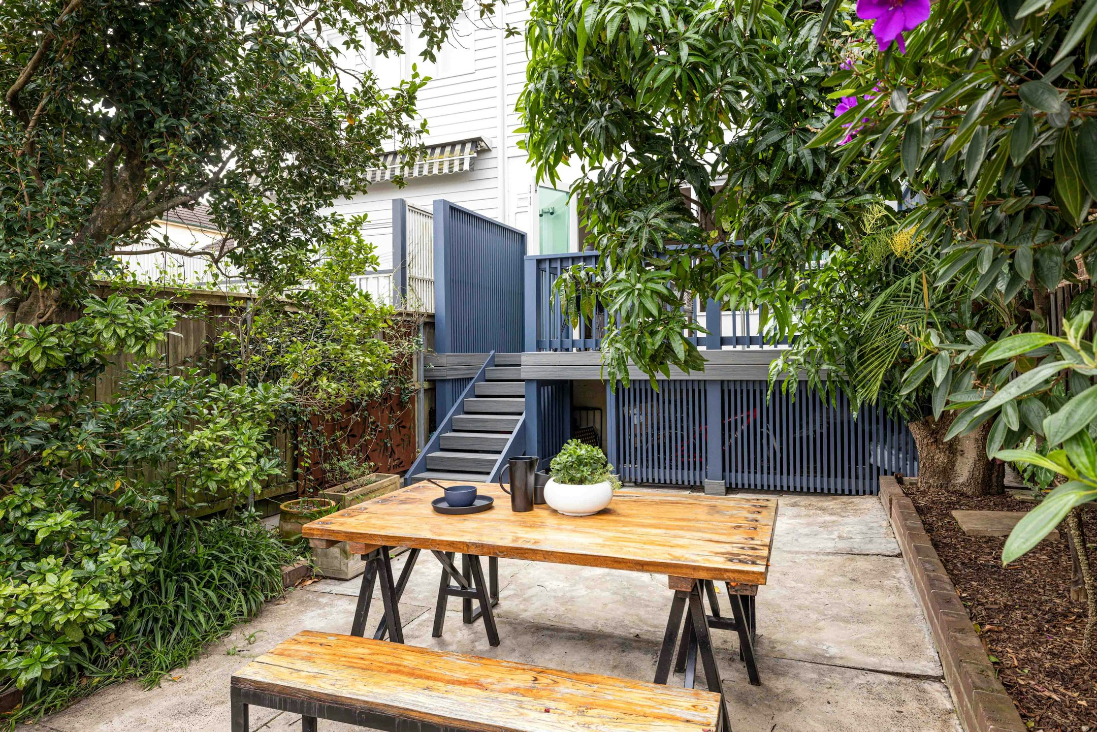 backyard